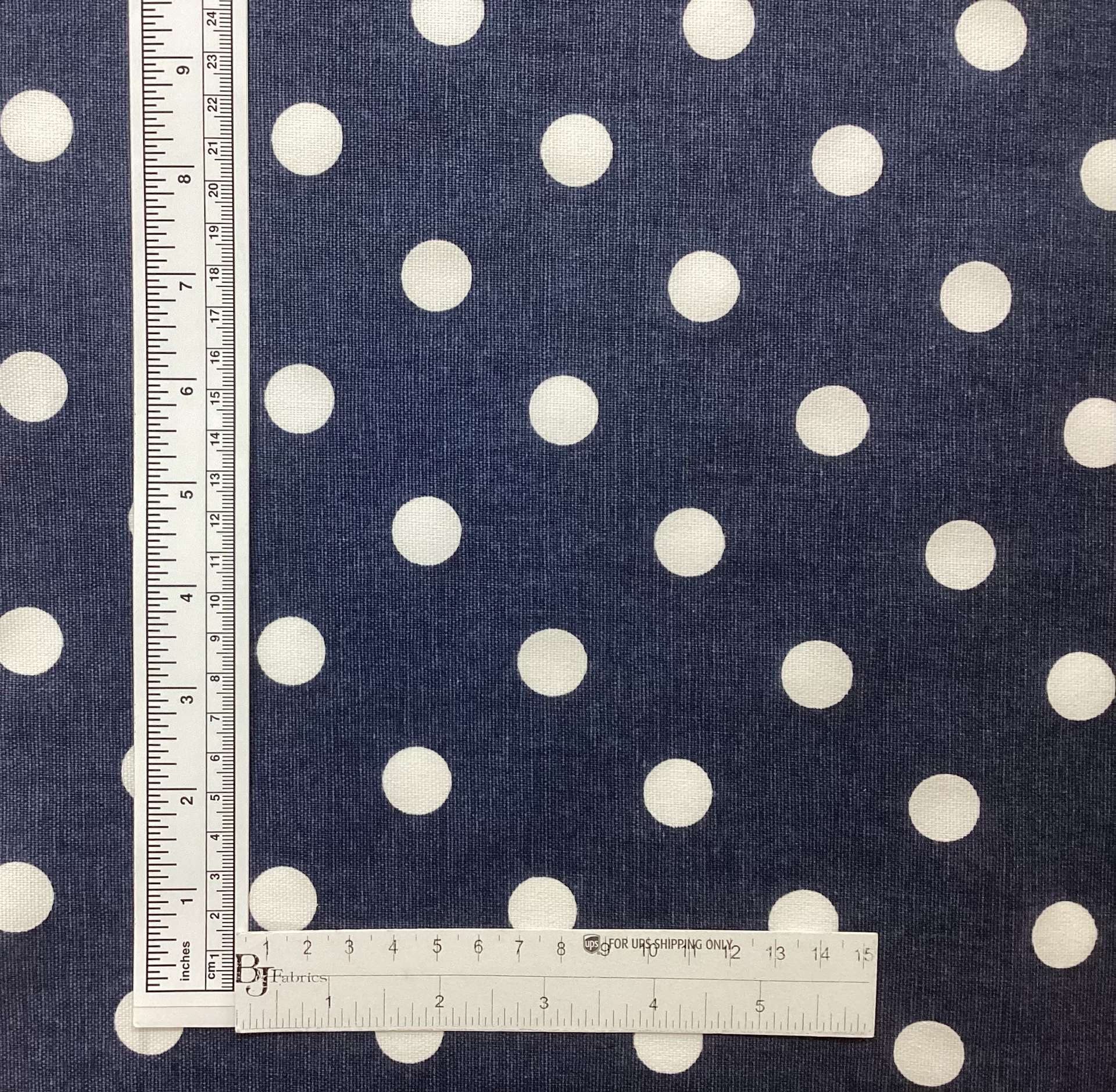 Cotton Canvas Polka Dot in Navy White