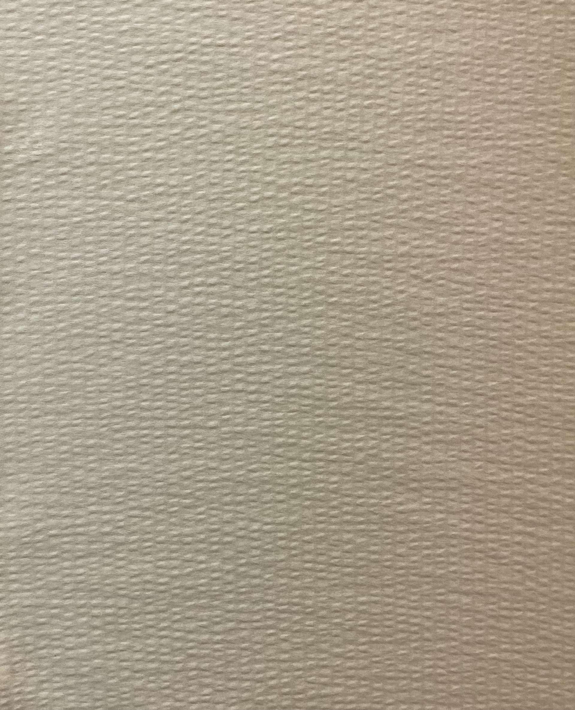 Hammered Silk Satin in Ivory