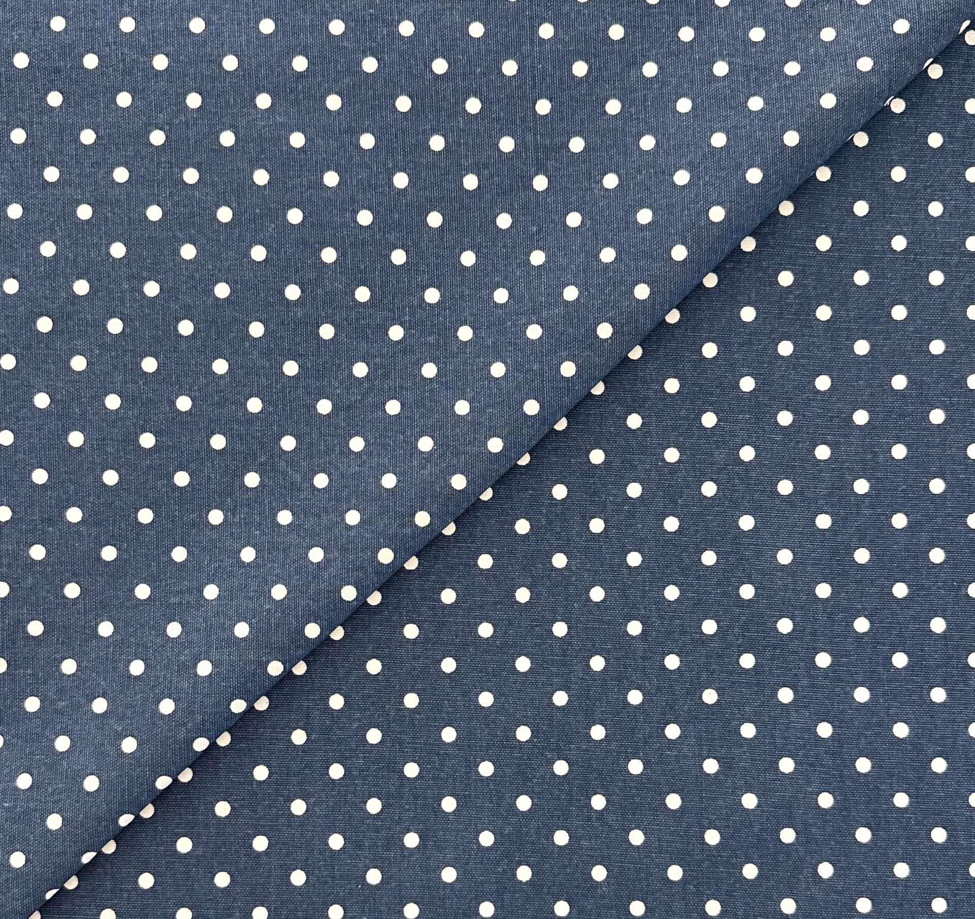 Cotton Canvas Mini Polka Dot in Indigo White