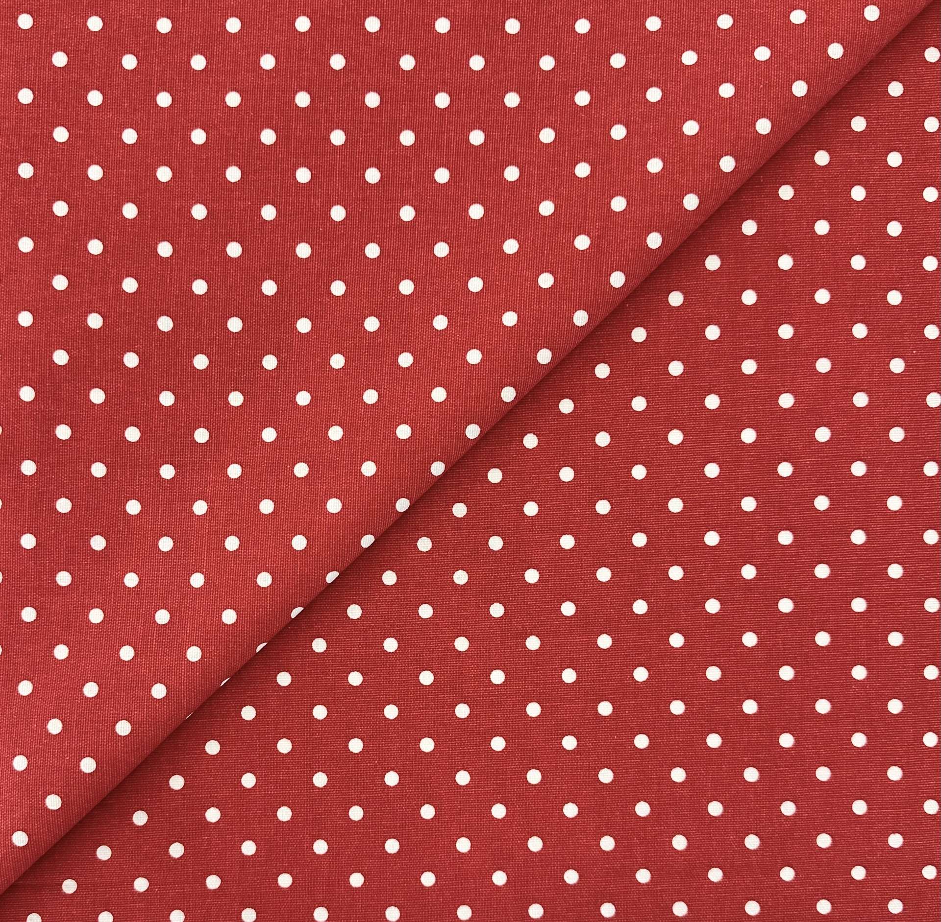 Cotton Canvas Mini Polka Dot in Lipstick White
