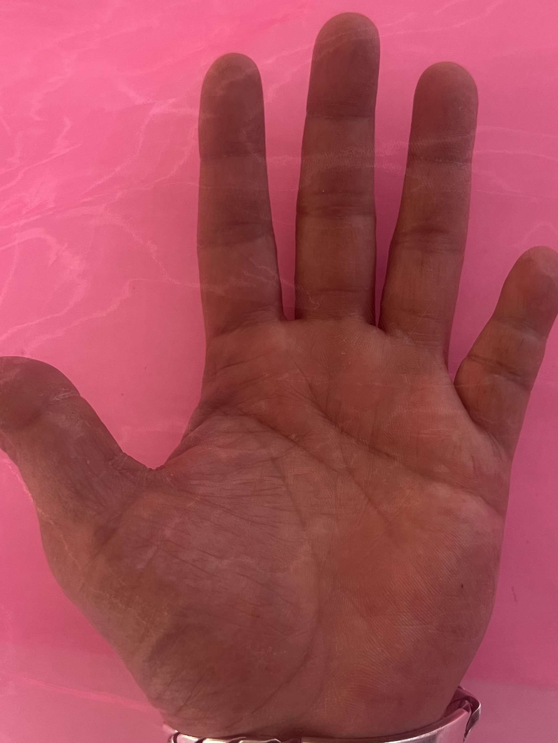 Polyester Organza Onion Skin in Neon Pink