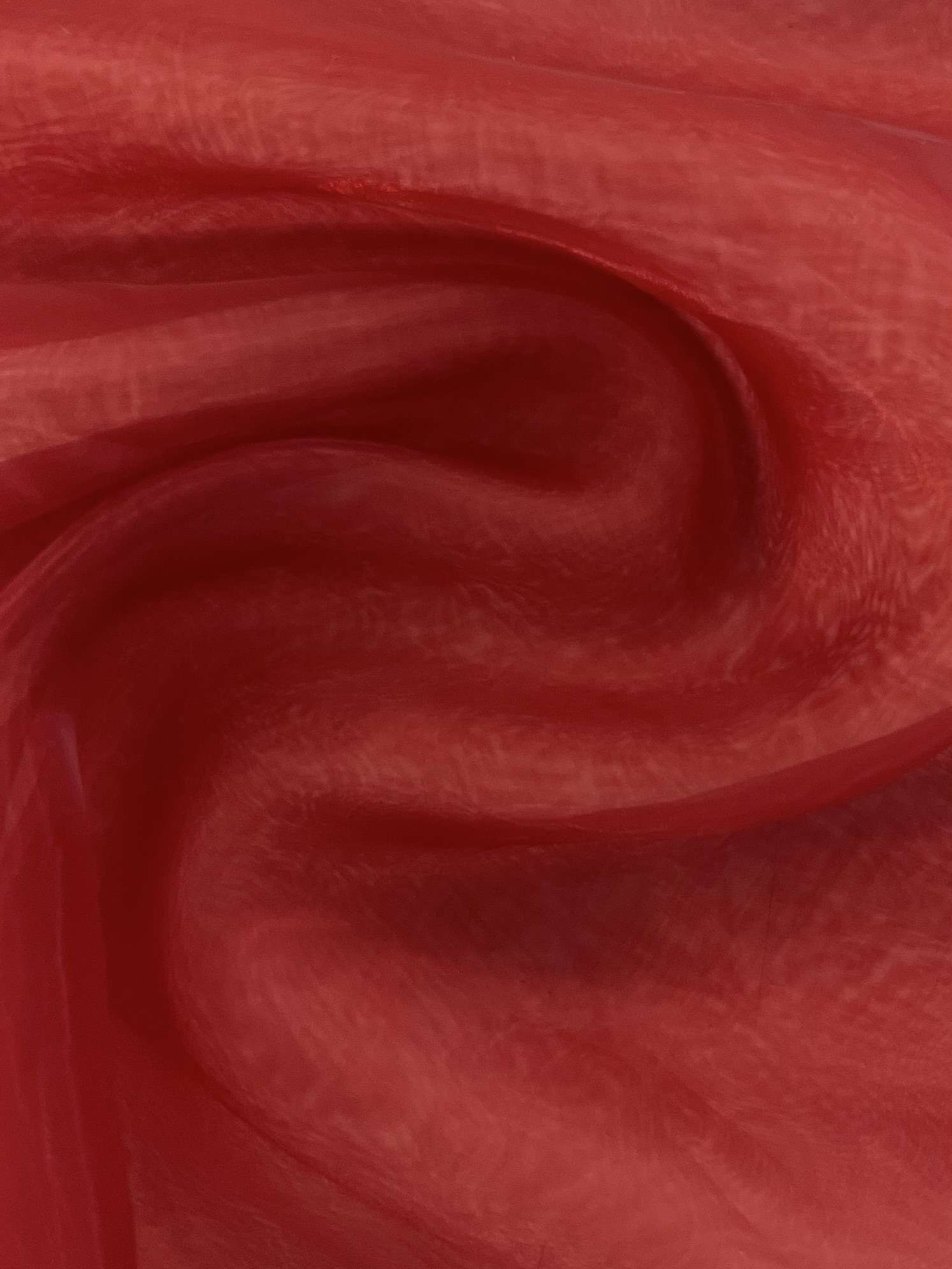 Polyester Organza Onion Skin in Garnet