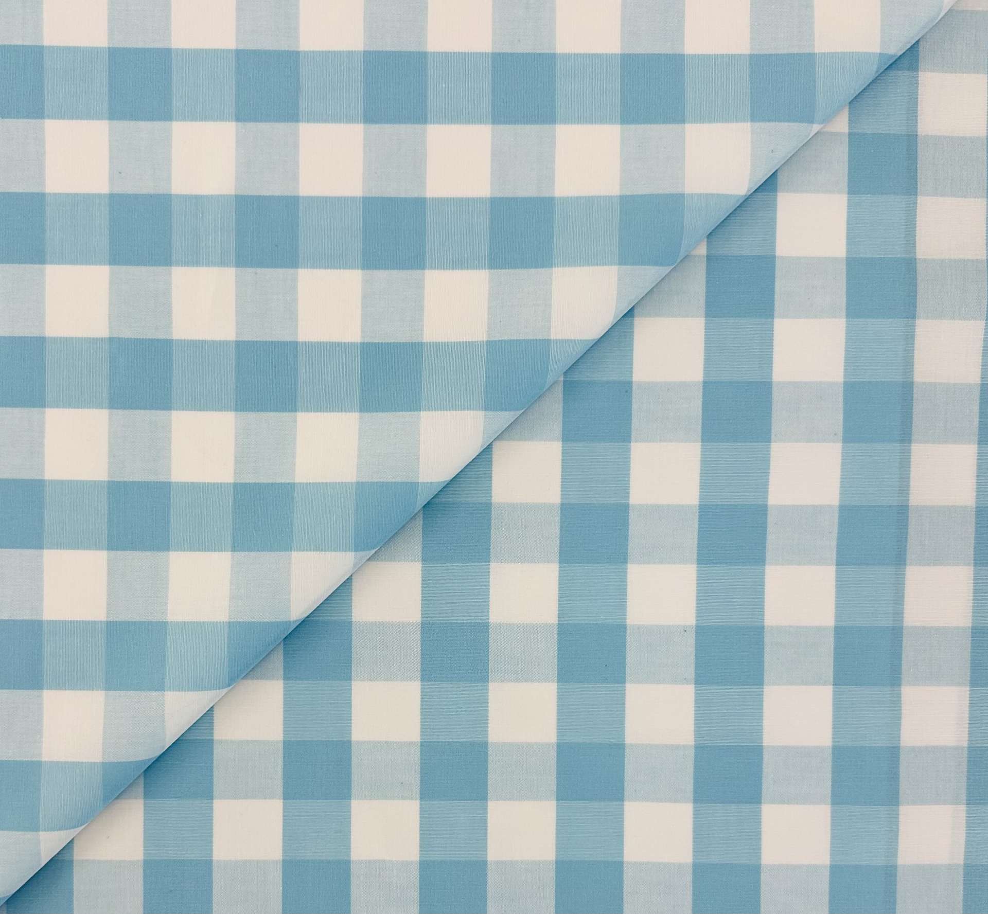 Sustainable Cotton 1" Check in Aqua