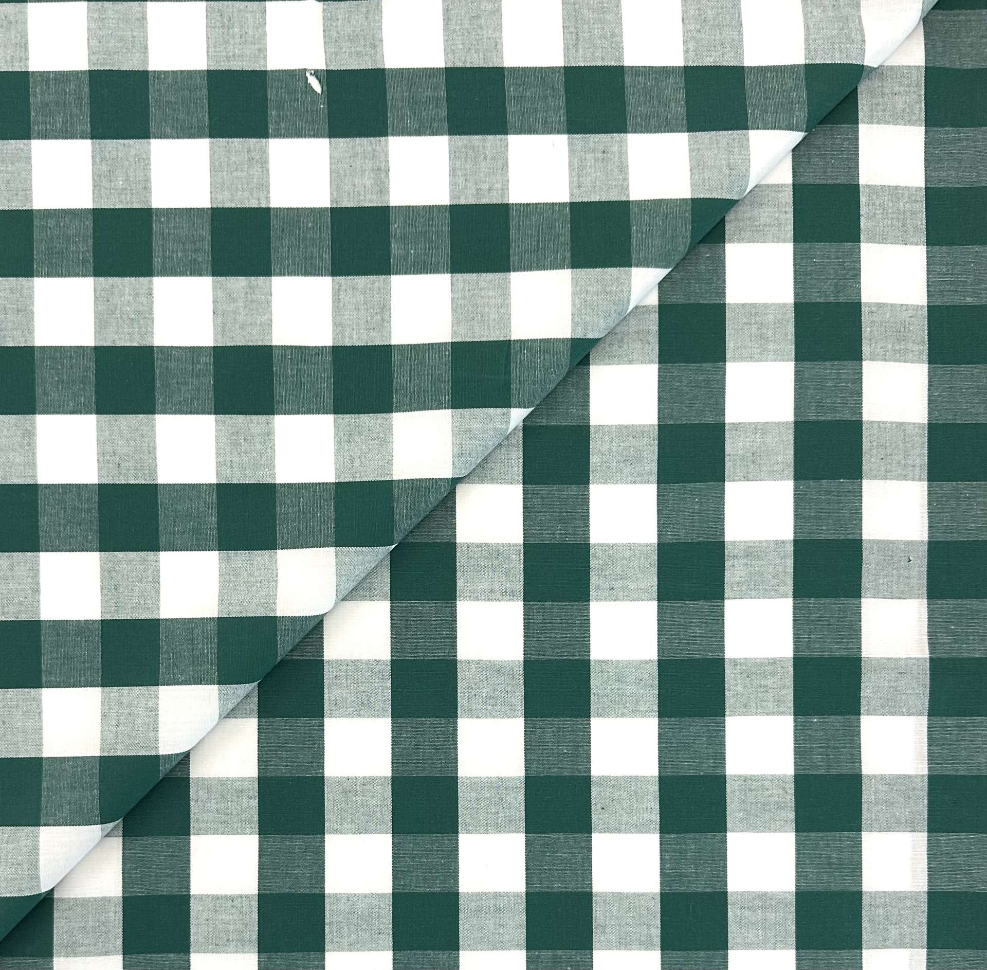 Sustainable Cotton 1" Check in Pine