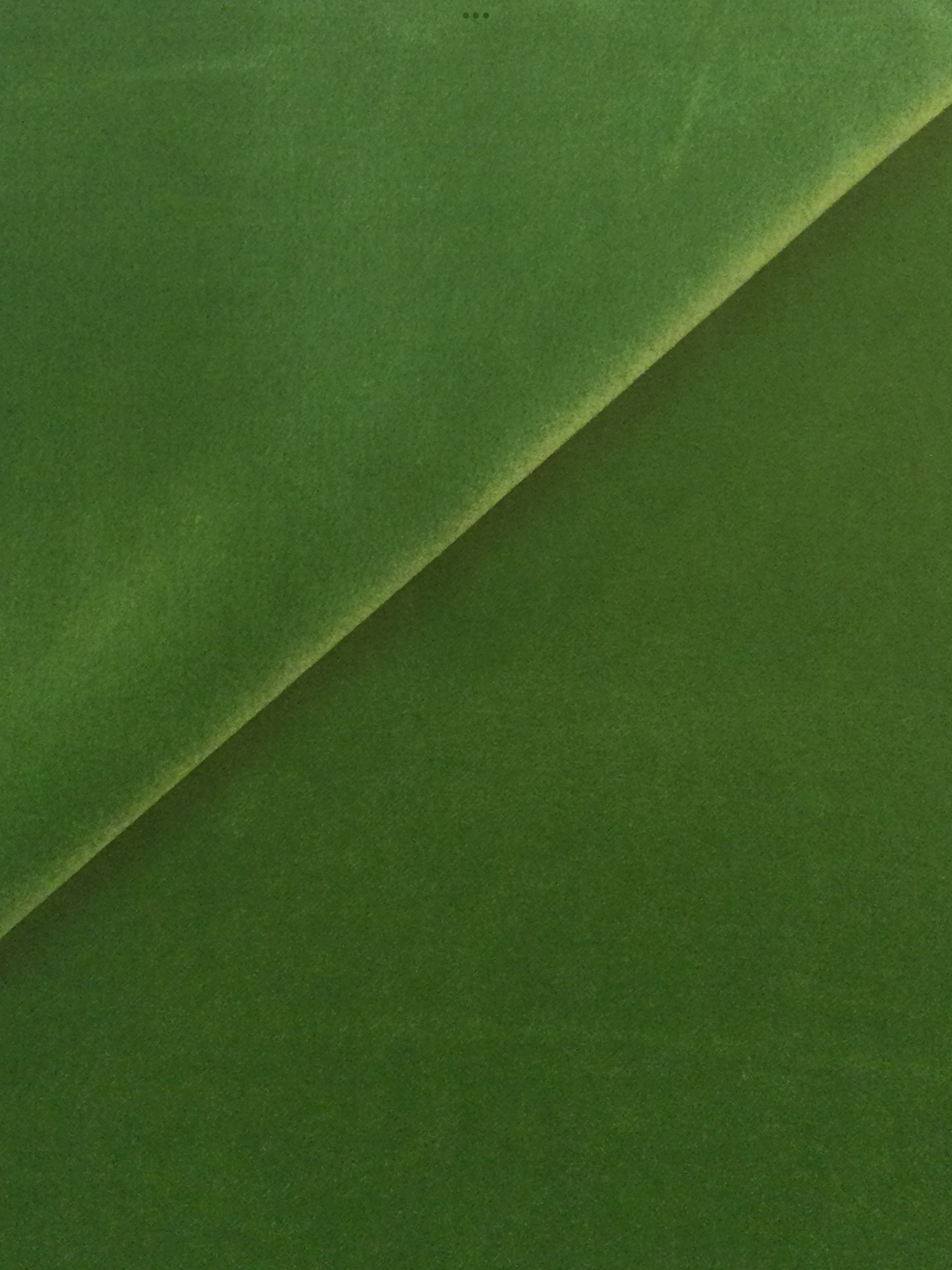 Made in Italy Cotton Velvet in Lime
