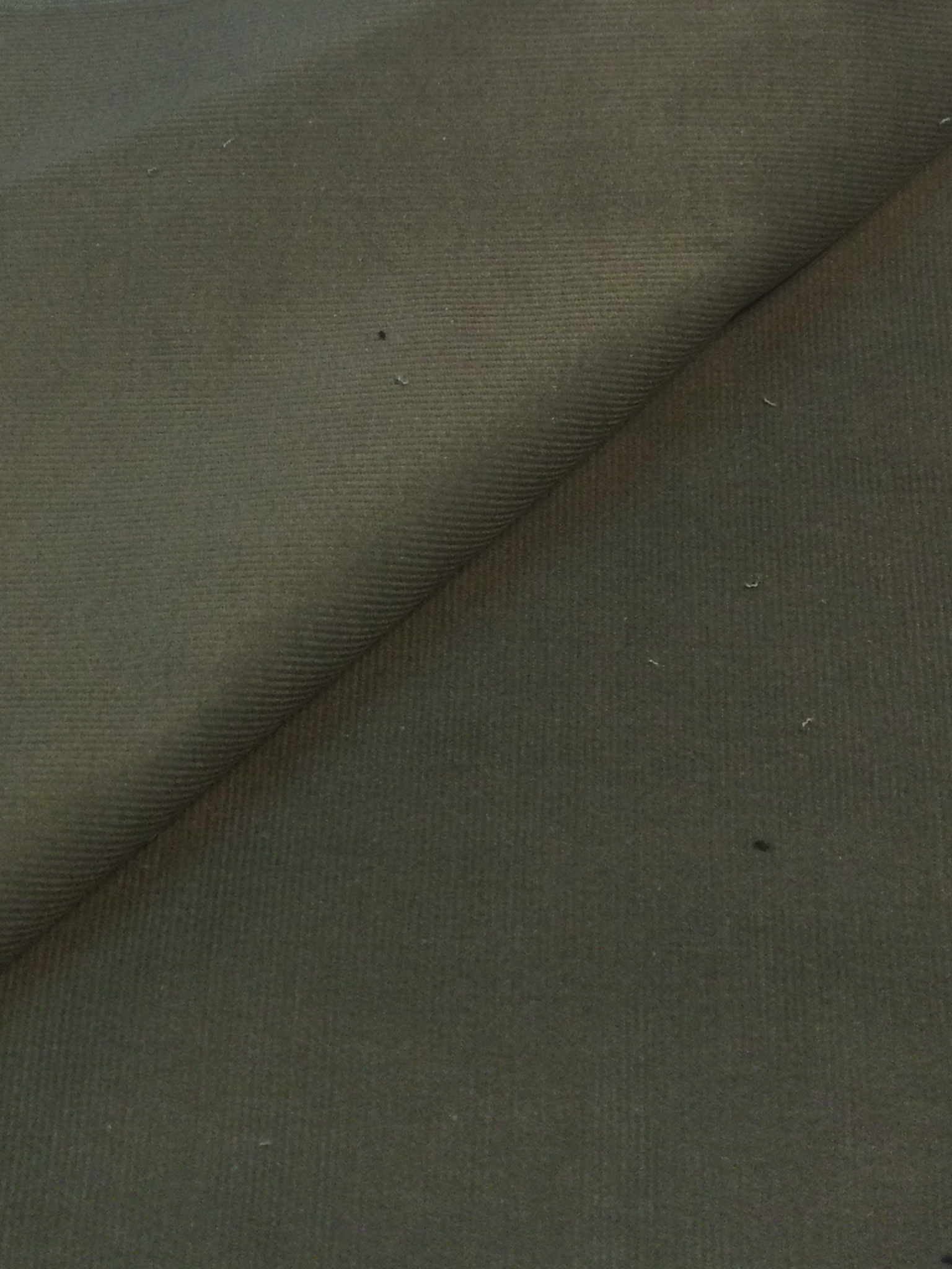 Made in Italy Cotton Corduroy Sagebrush 