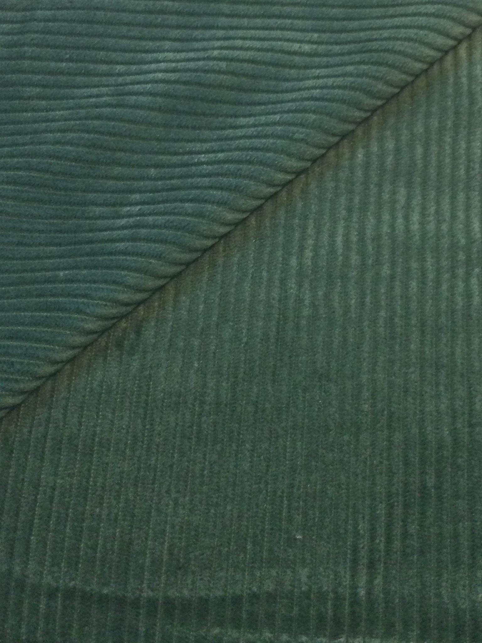 Made in Italy Wide Wale Corduroy in Sagebrush 
