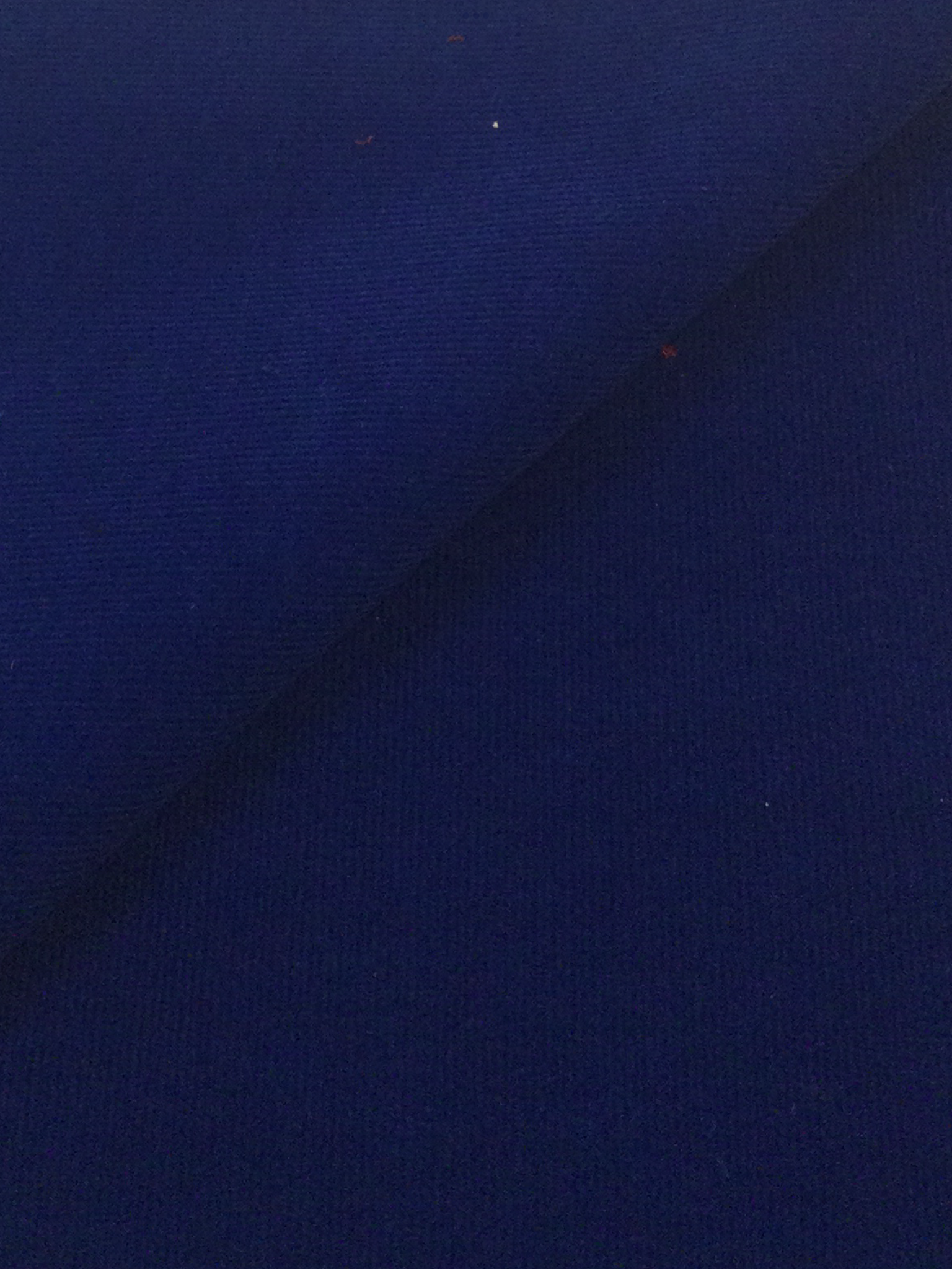 Made in Italy Cotton Corduroy in Cobalt