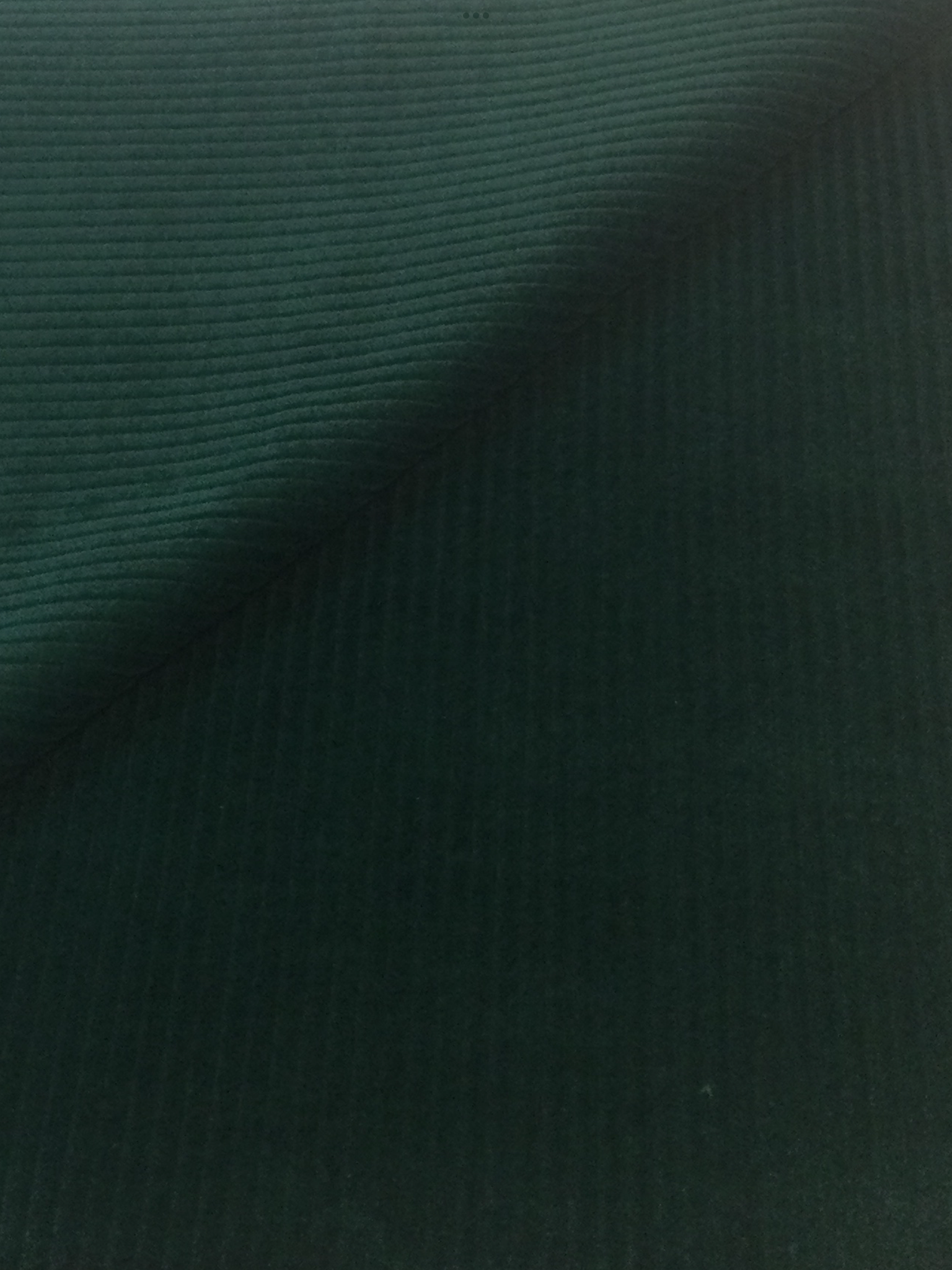 Made in Italy Wide Wale Corduroy in Forest Green