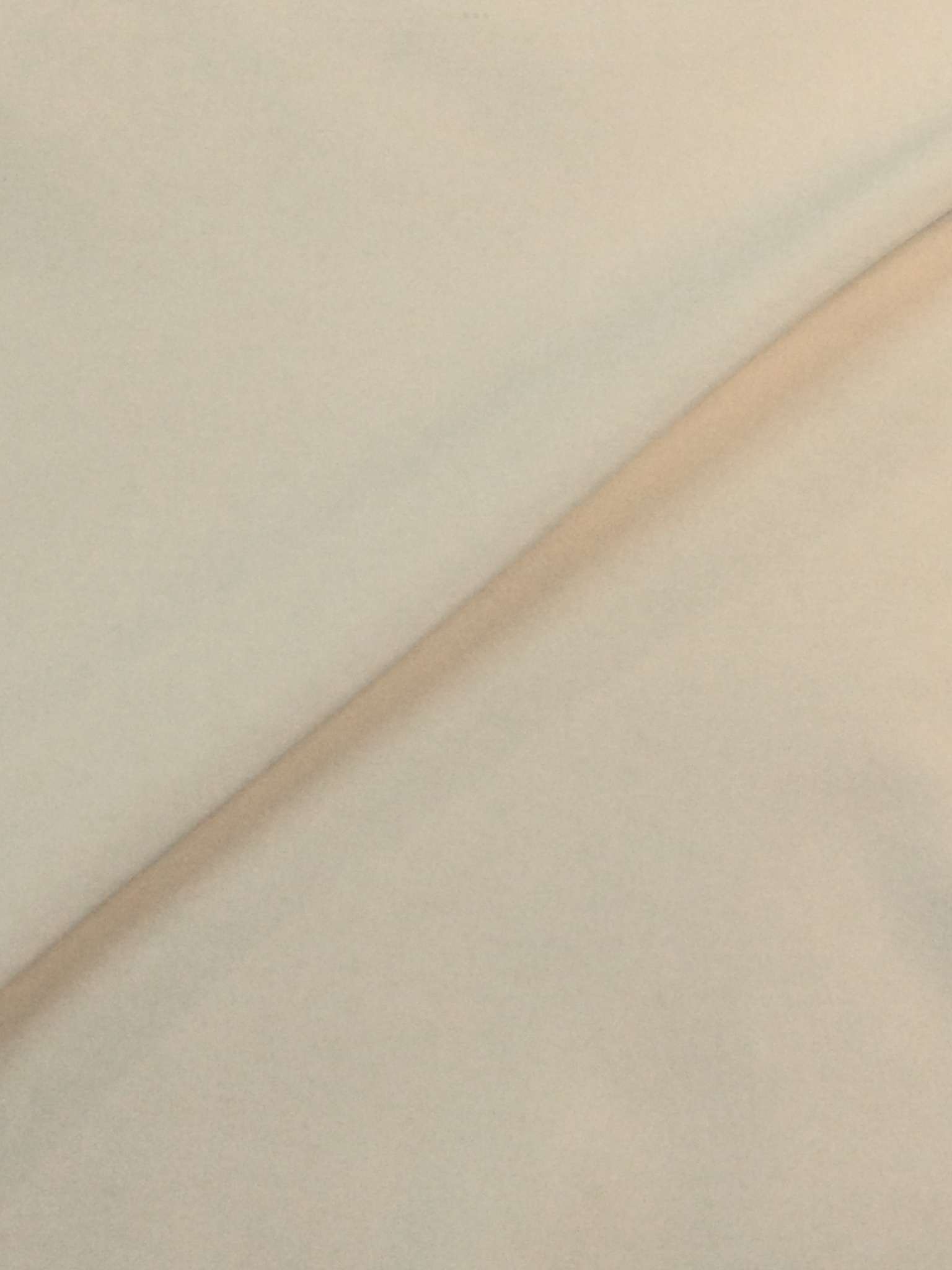 Made in Italy Cotton Velvet in Ivory