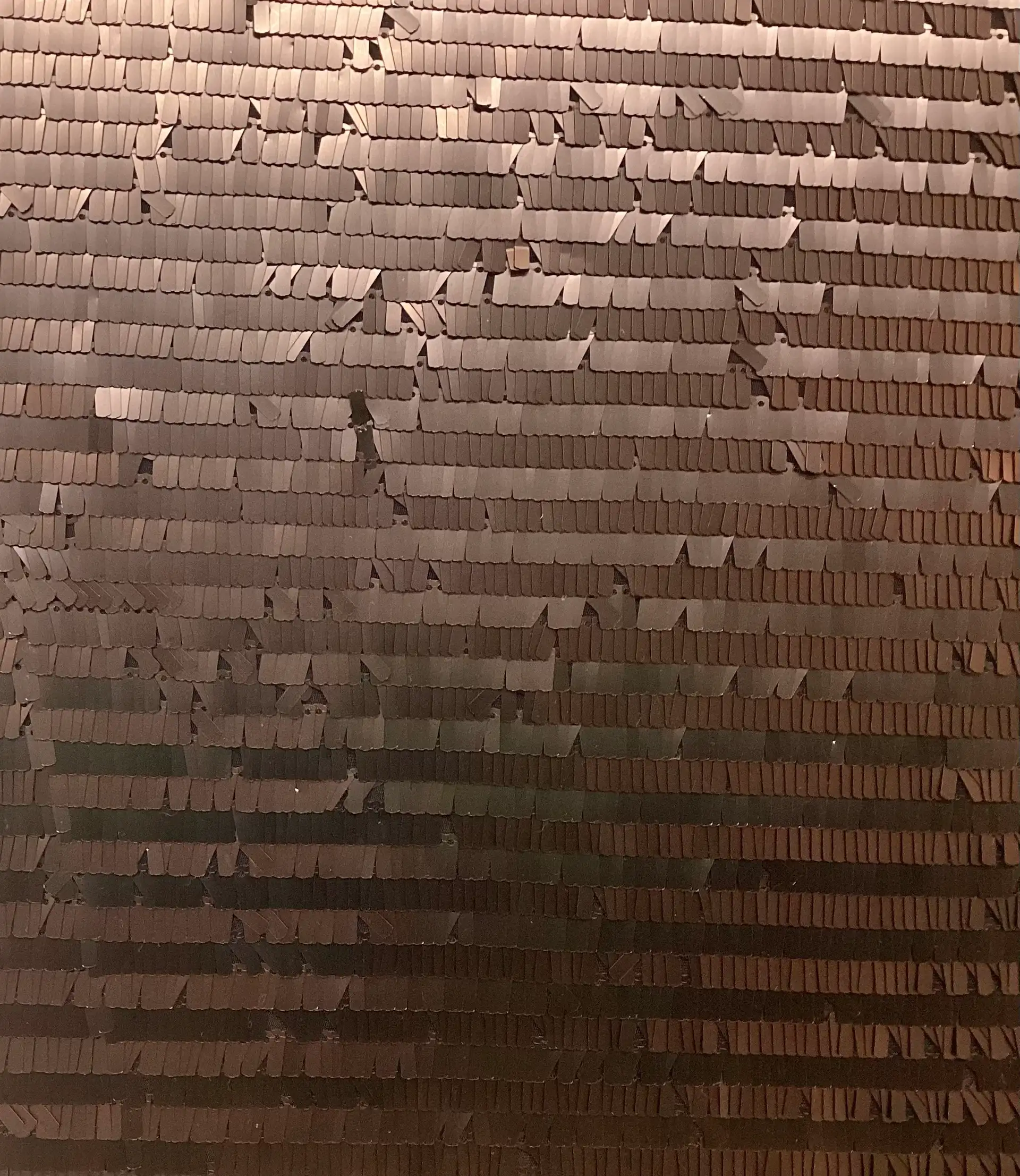 Novelty Matte Sequin Jersey In Brown