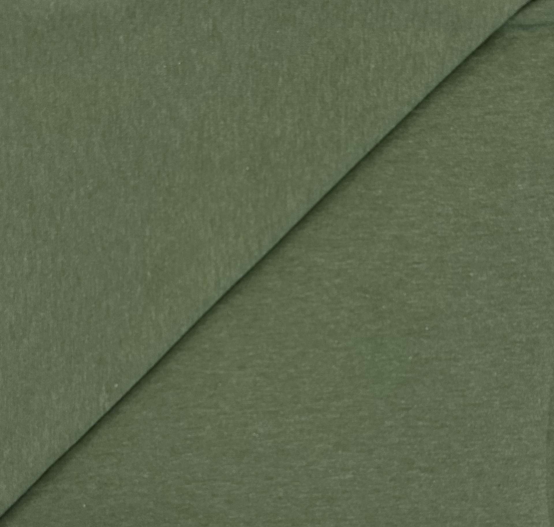 Lyocell Organic Cotton Spandex French Terry Knit in Moss