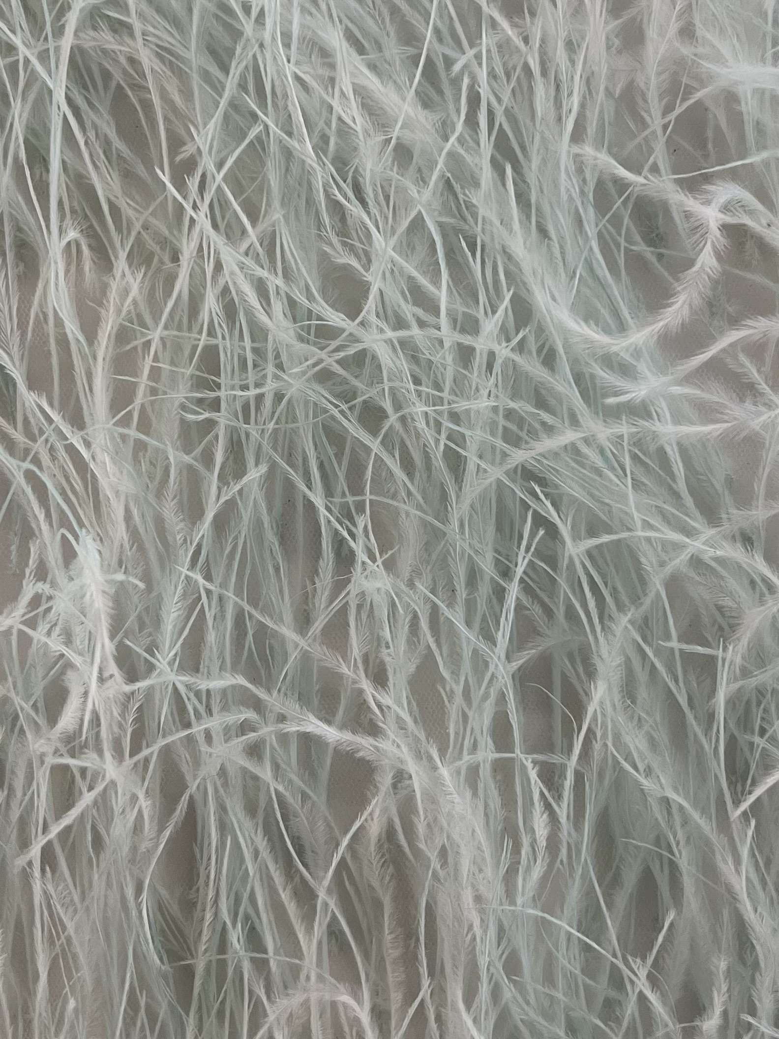 Hand Applied Ostrich Feather in Iced Mint