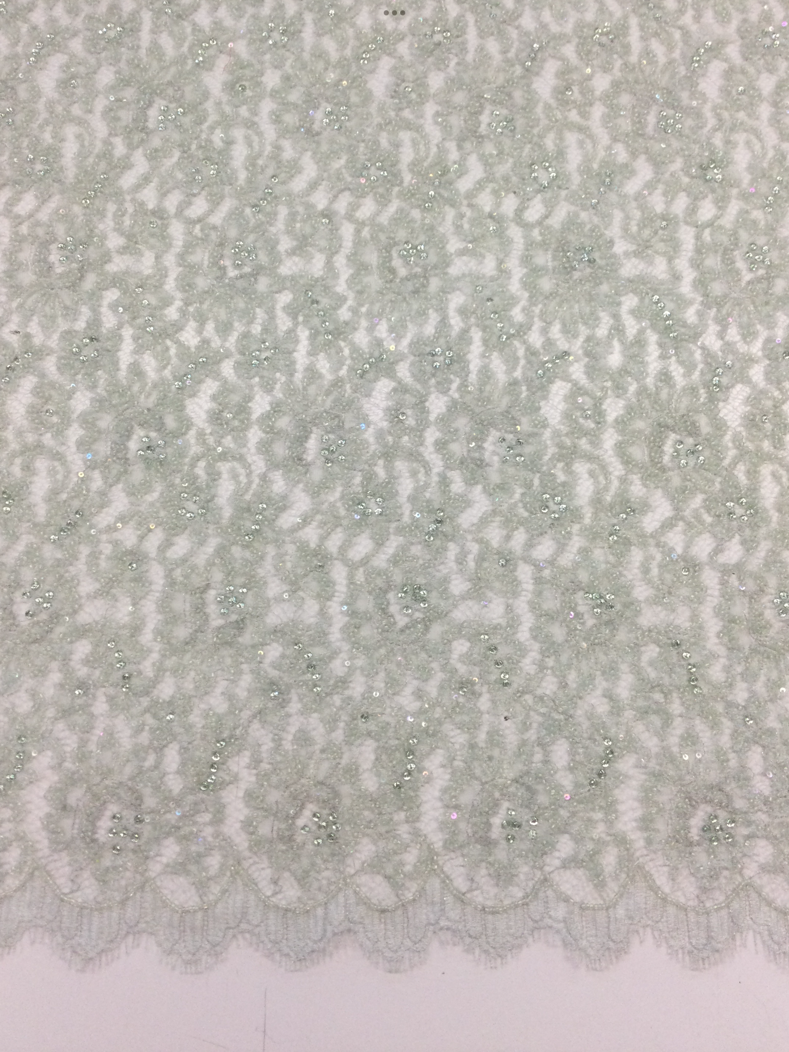 Beaded Chantilly Lace