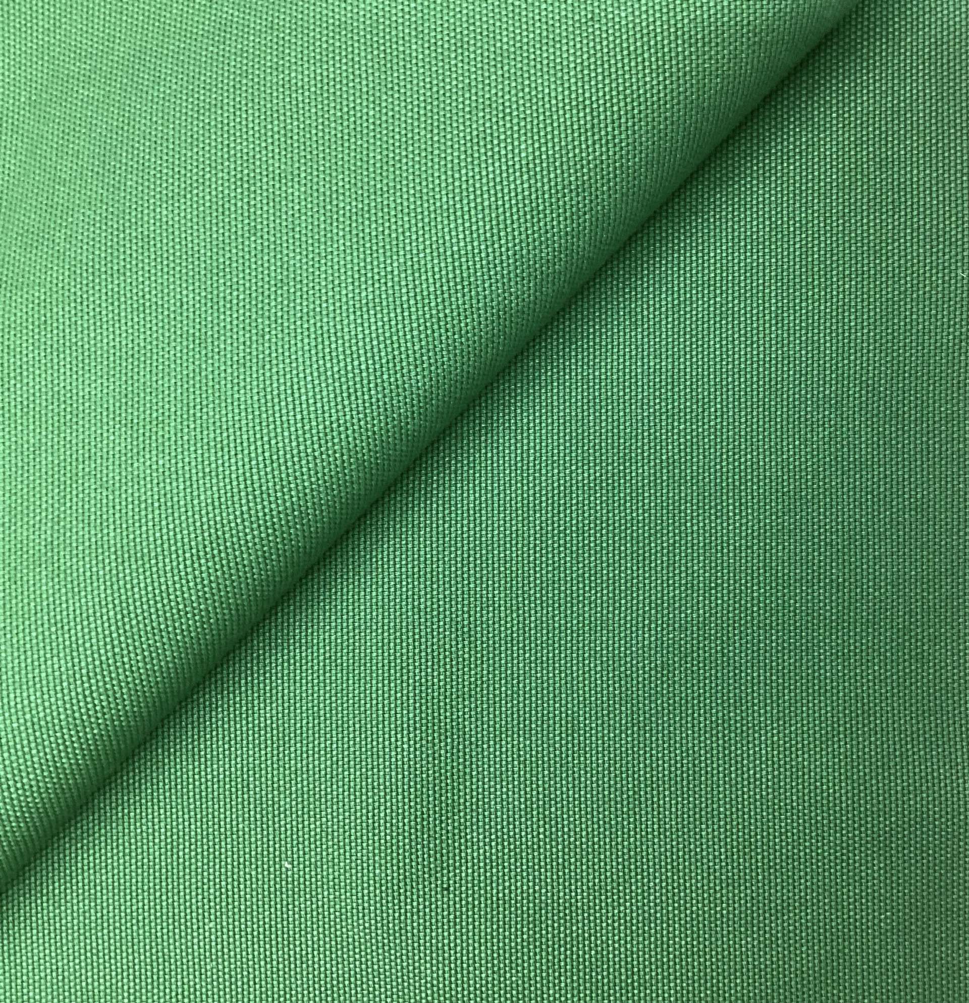Made in Italy Brushed Cotton Upholstery Canvas in Leaf
