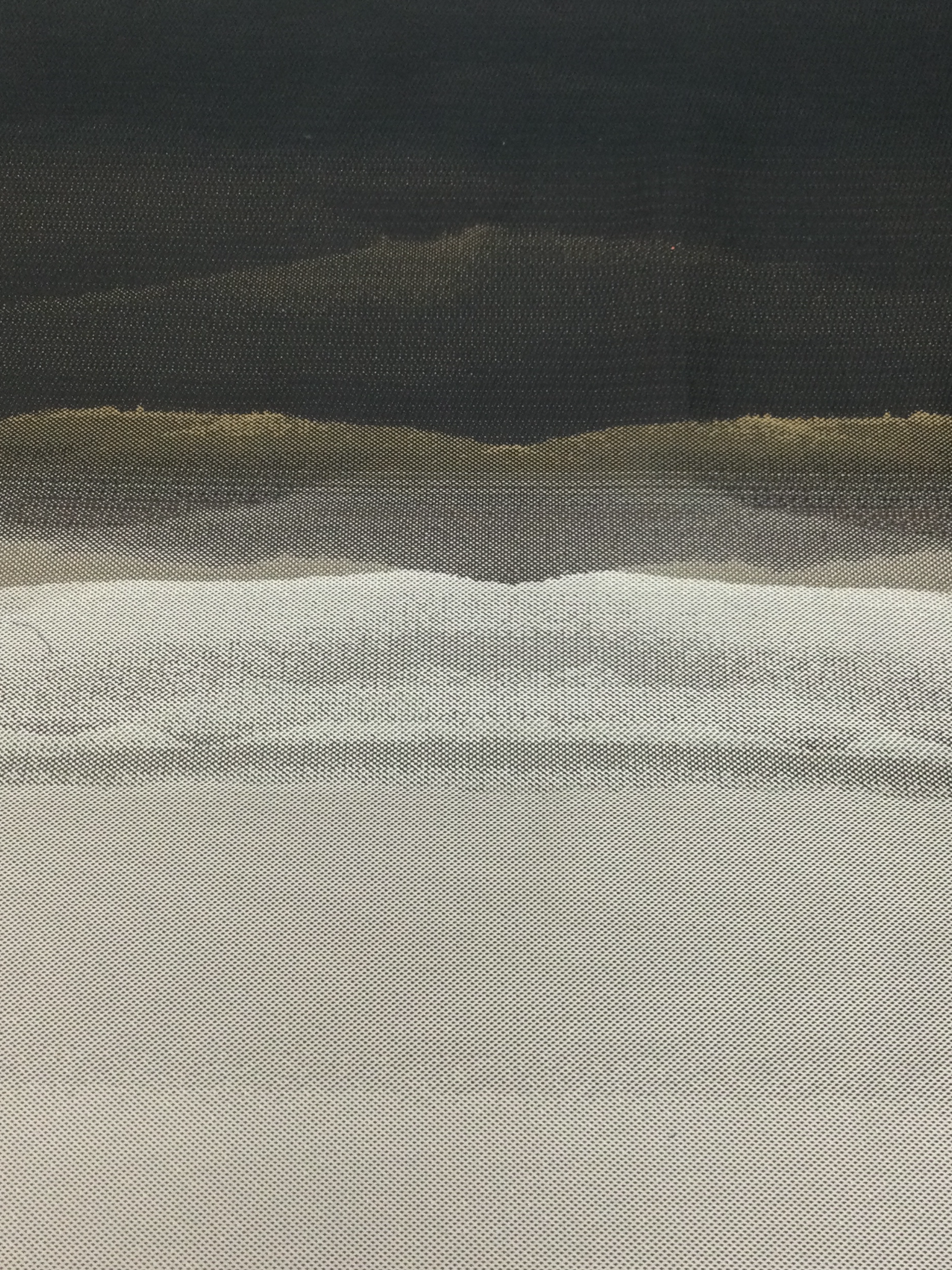 Synthetic Panel