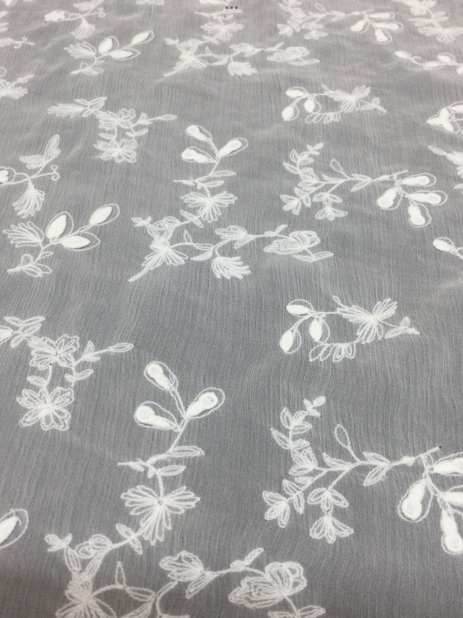 Embroidered Crinkled Silk Chiffon in Off White