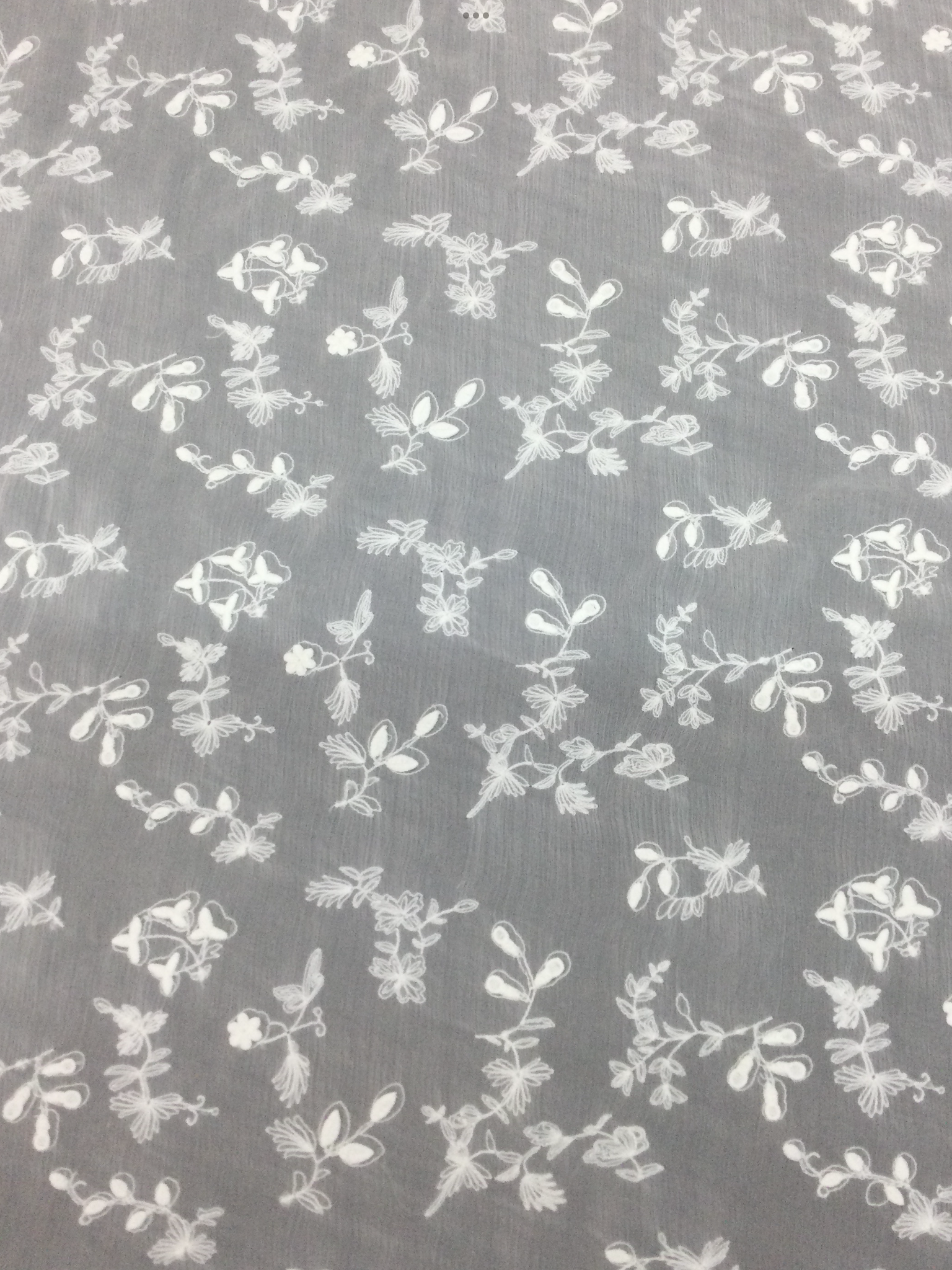Embroidered Crinkled Silk Chiffon in Off White