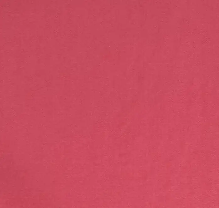 Italian Virgin Wool Gabardine Super 100's in Watermelon