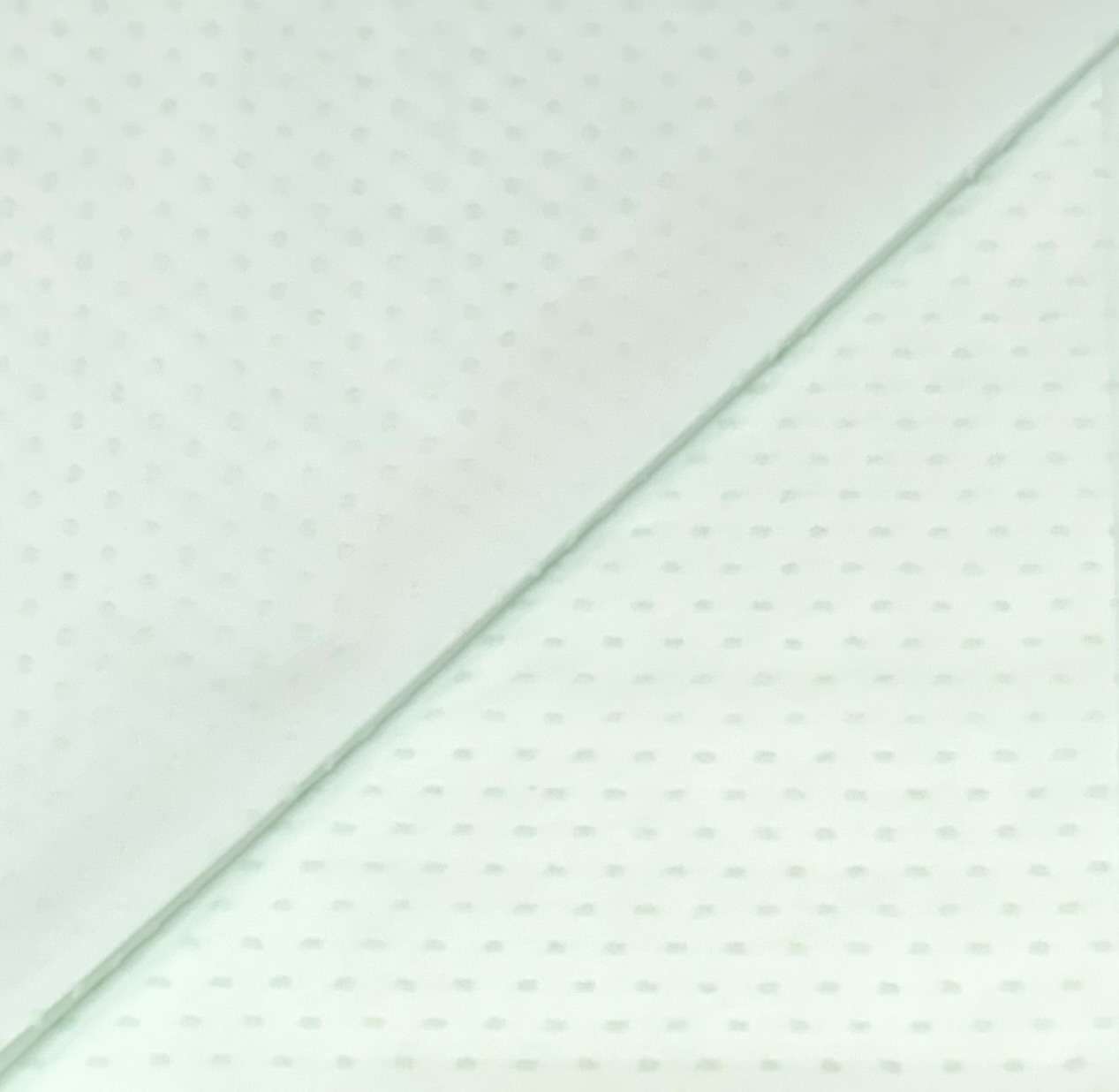 Swiss Cotton Dot Voile in Mint