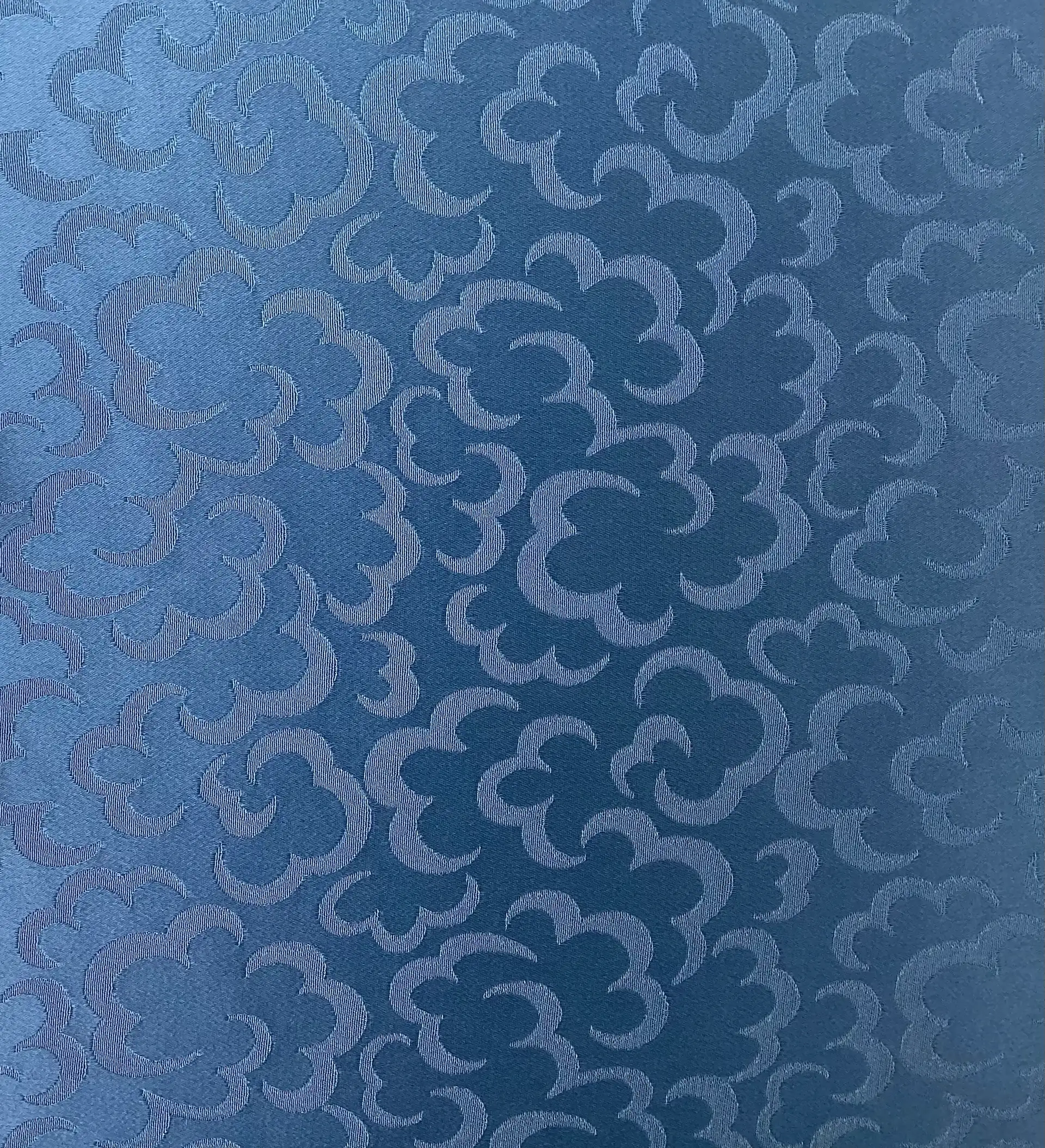 Acetate Viscose Clouds Jacquard in Denim