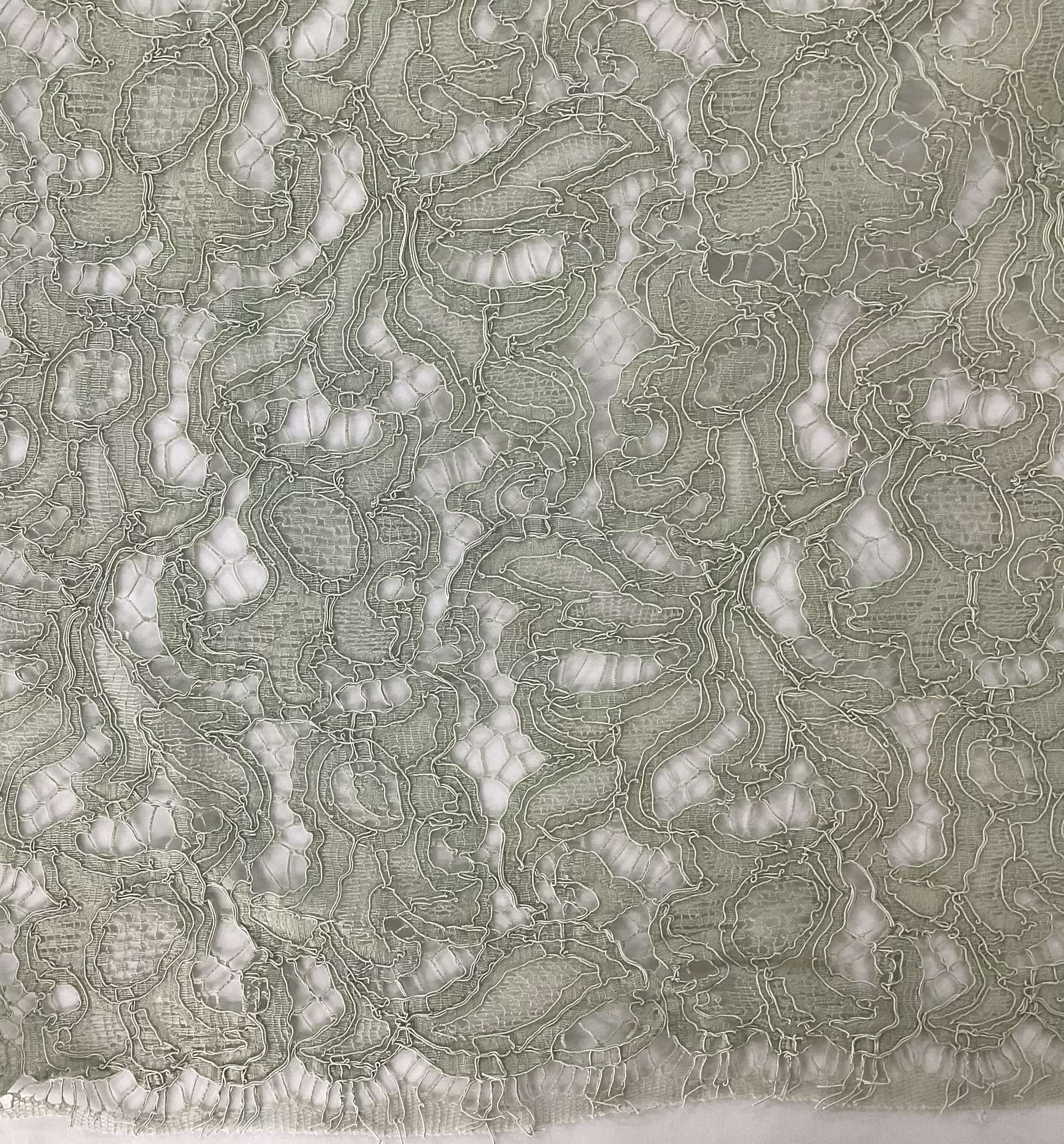 Corded Chantilly Lace in Sage