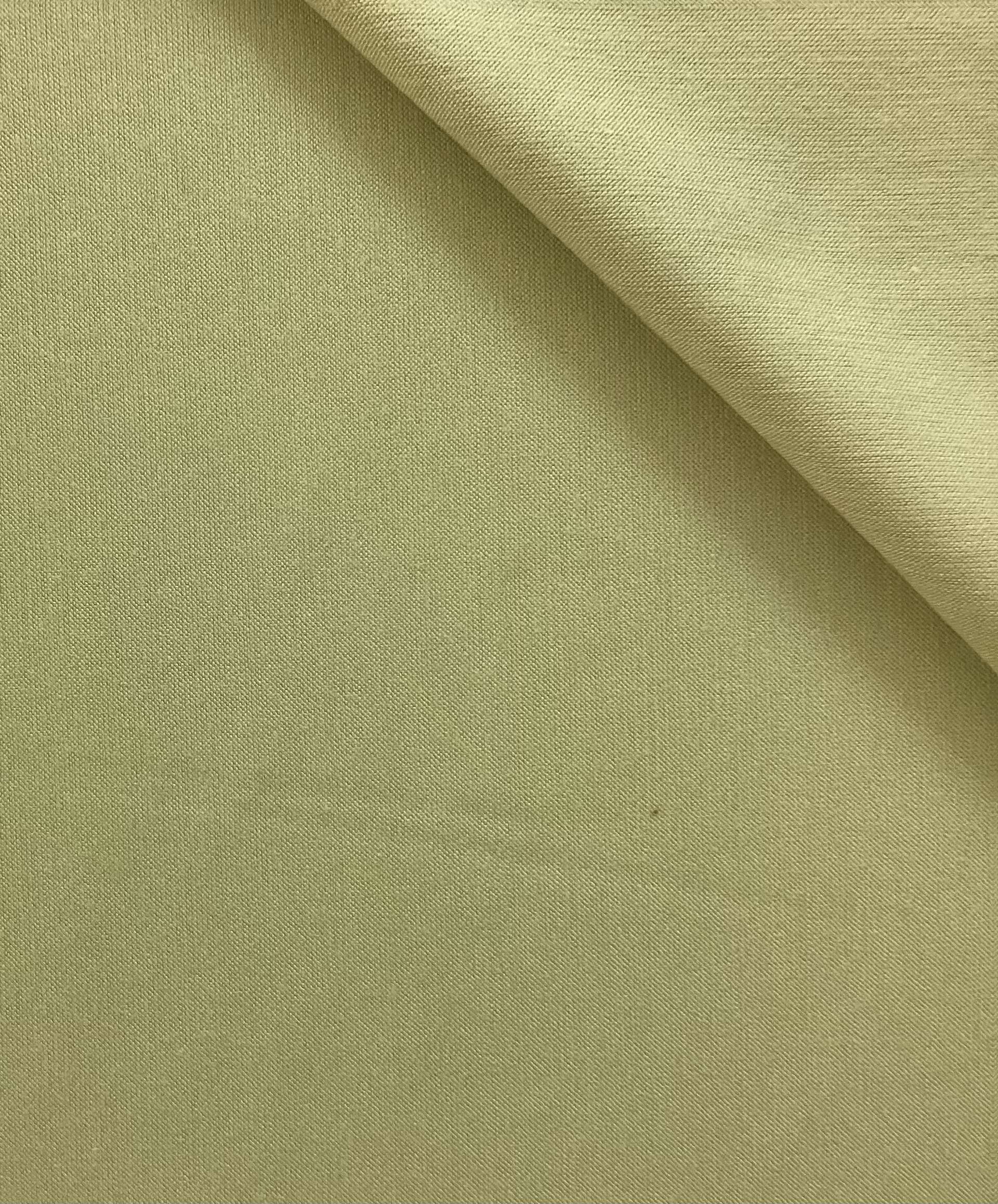 Rayon Lycra Jersey Knit in Pear