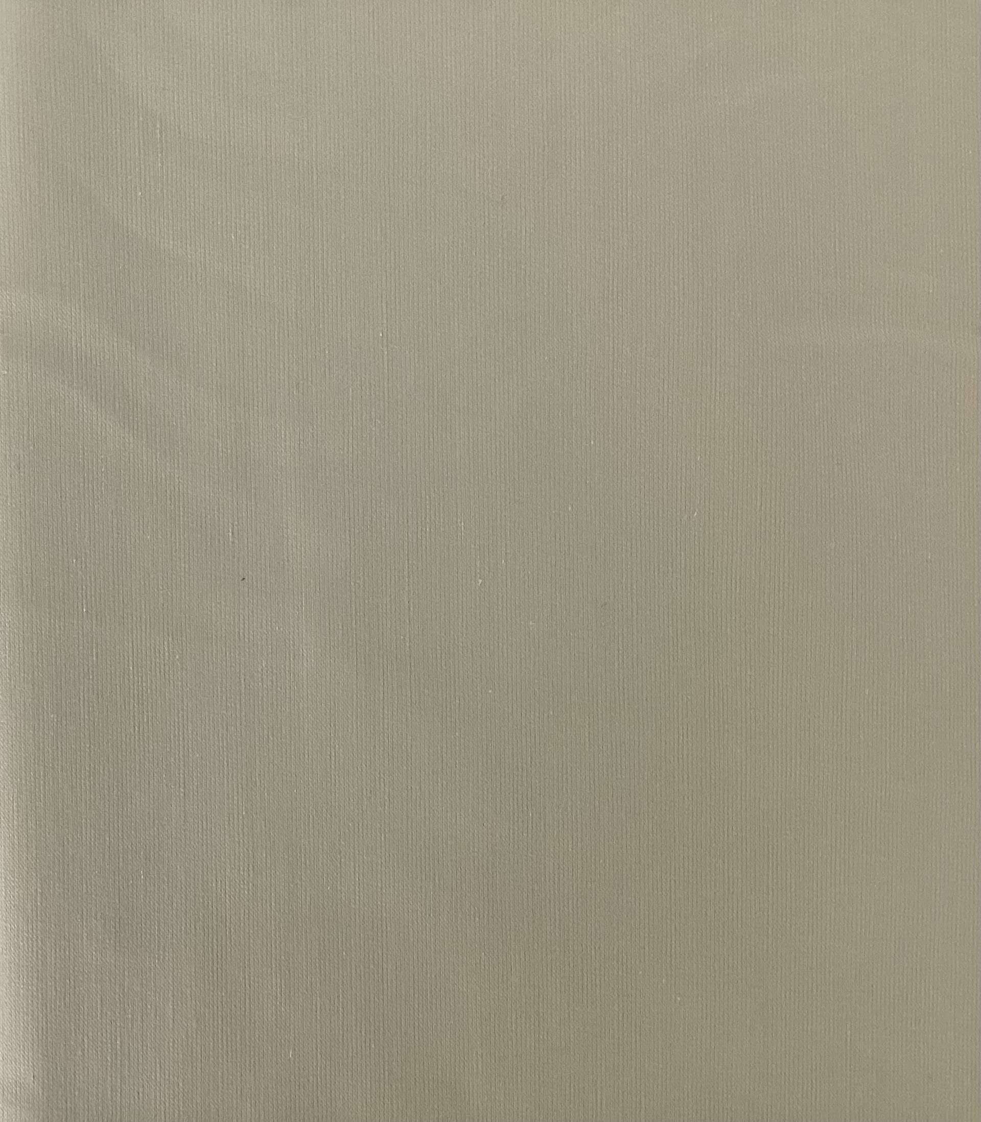 Cotton & Lycra Shirting In Oyster