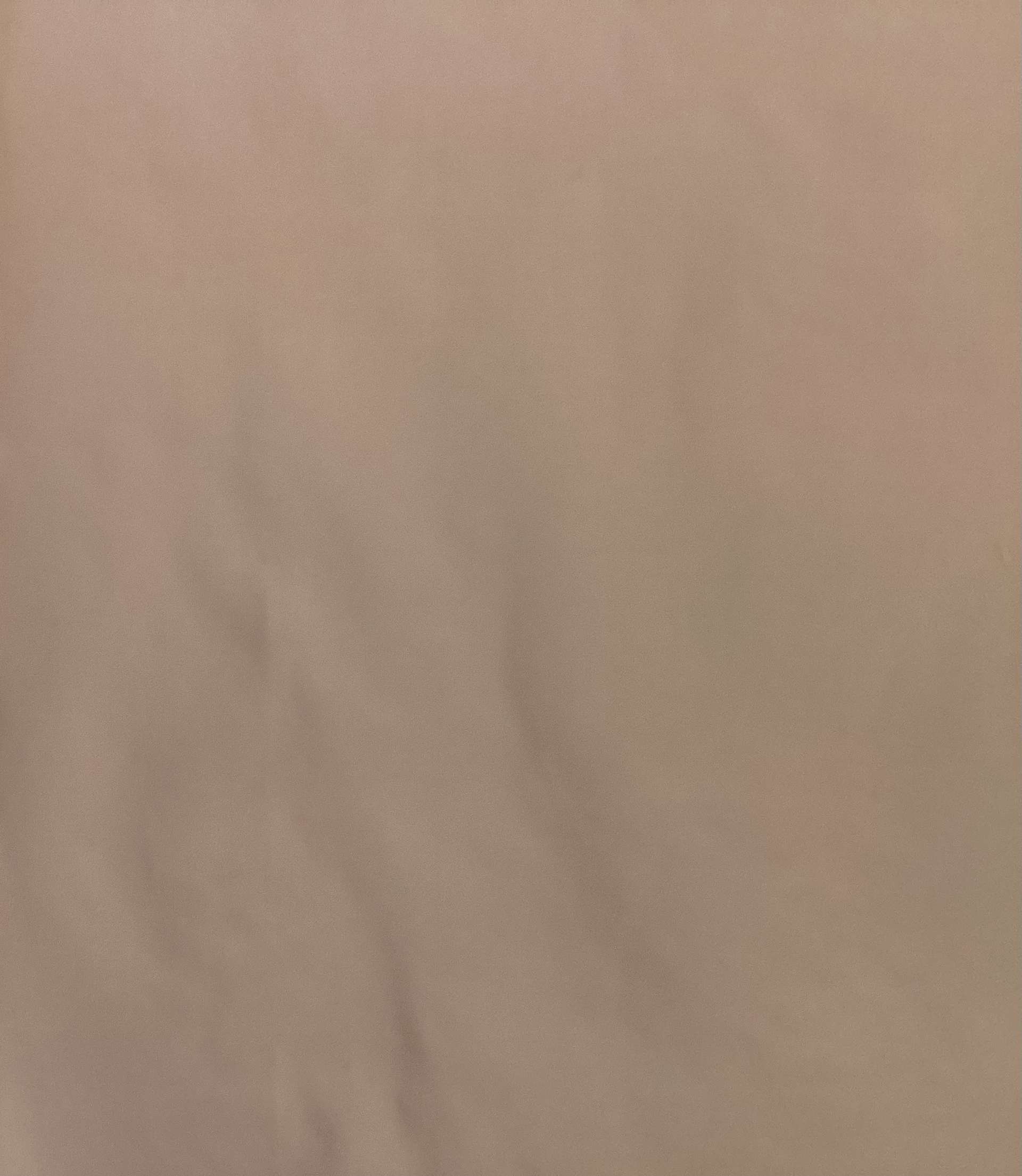 Polyester Taffeta in Salmon