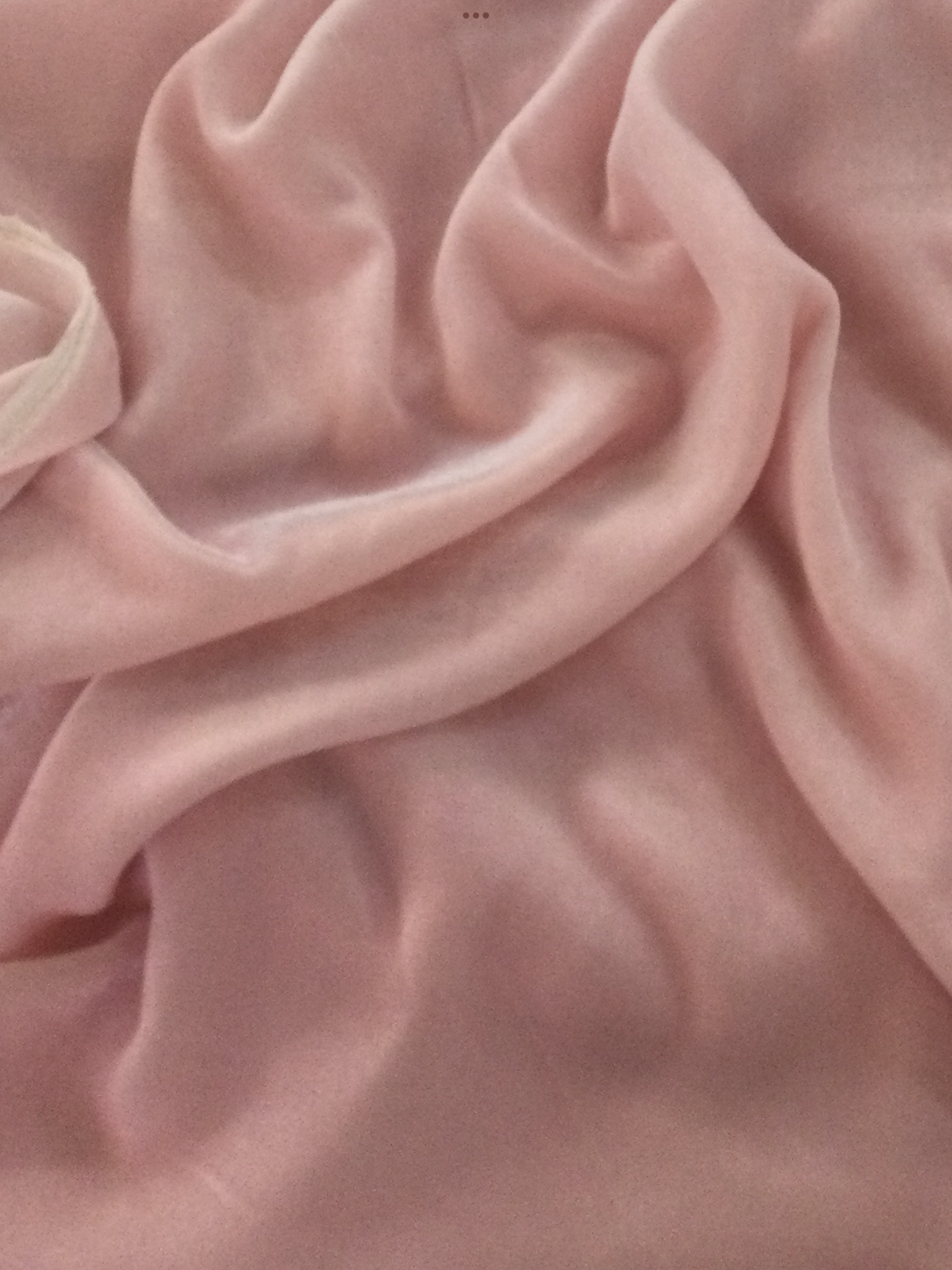 Scnp Silk and Rayon Velvet in Rosette