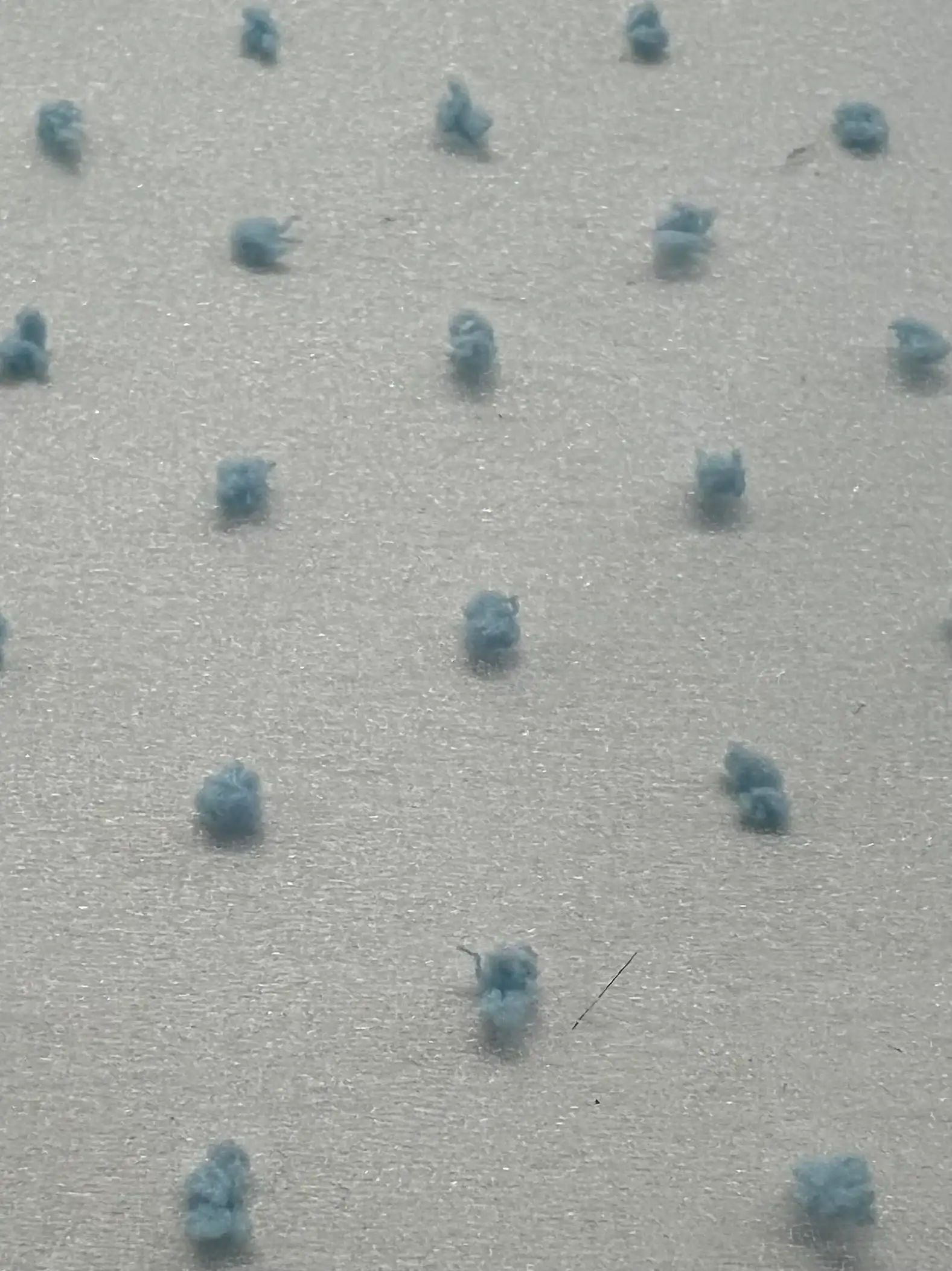 Polyester Swiss Dot Crinkle Organza in Baby Blue