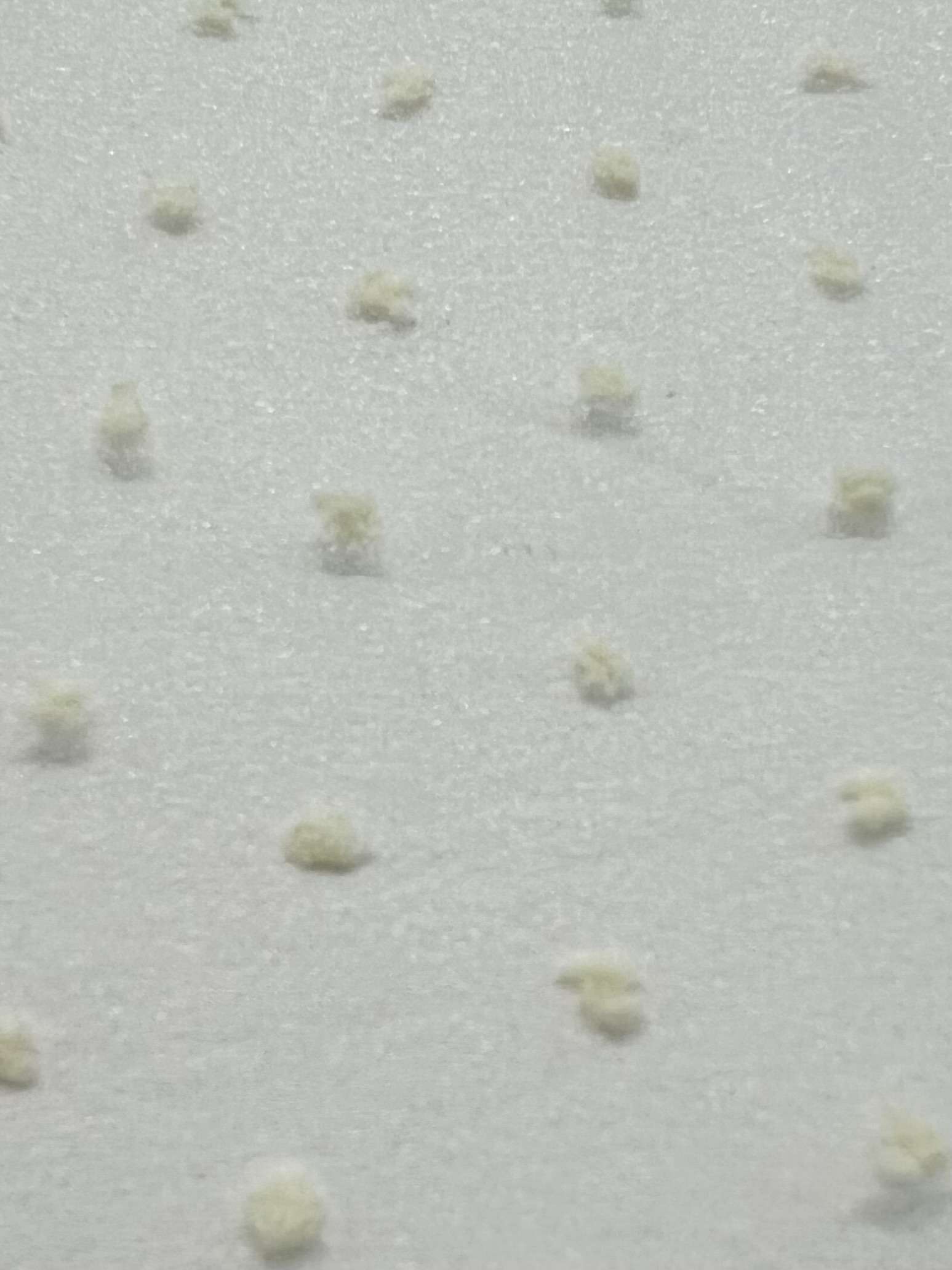 Polyester Swiss Dot Crinkle Organza in Ivory