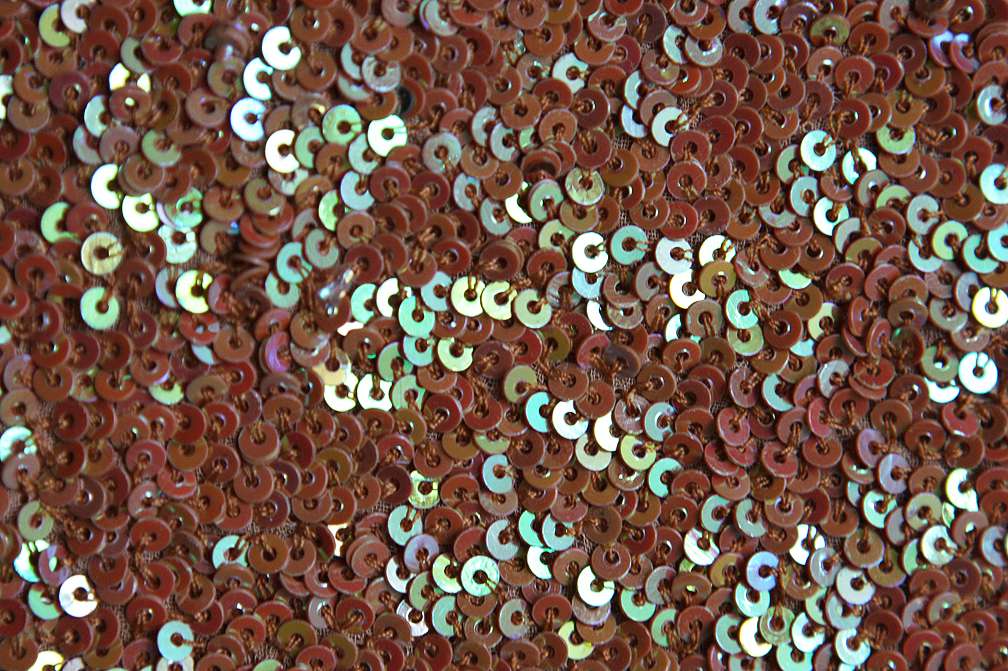 Sequins on Silk Chiffon2