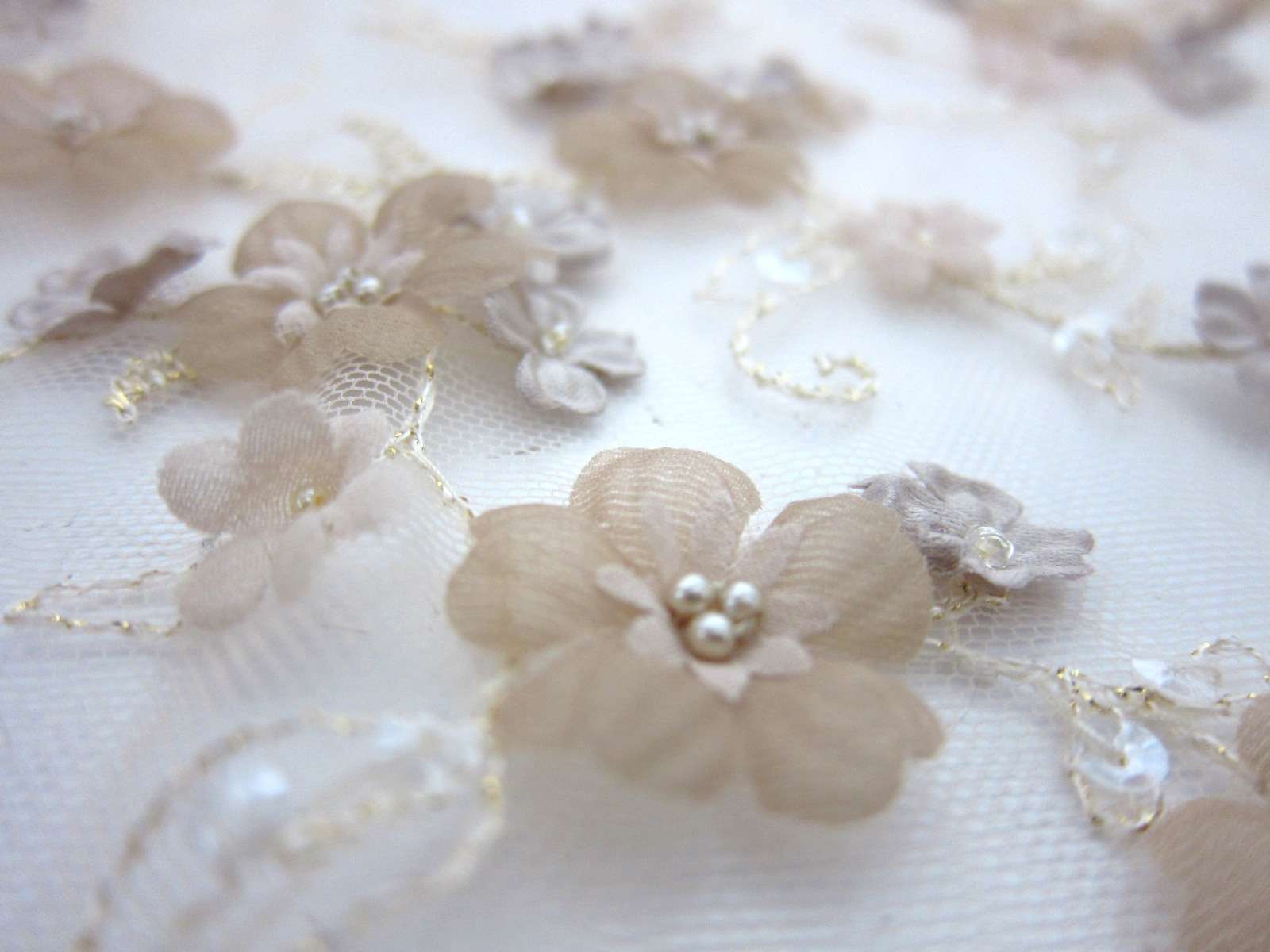 Beaded Illusion with Appliqué2