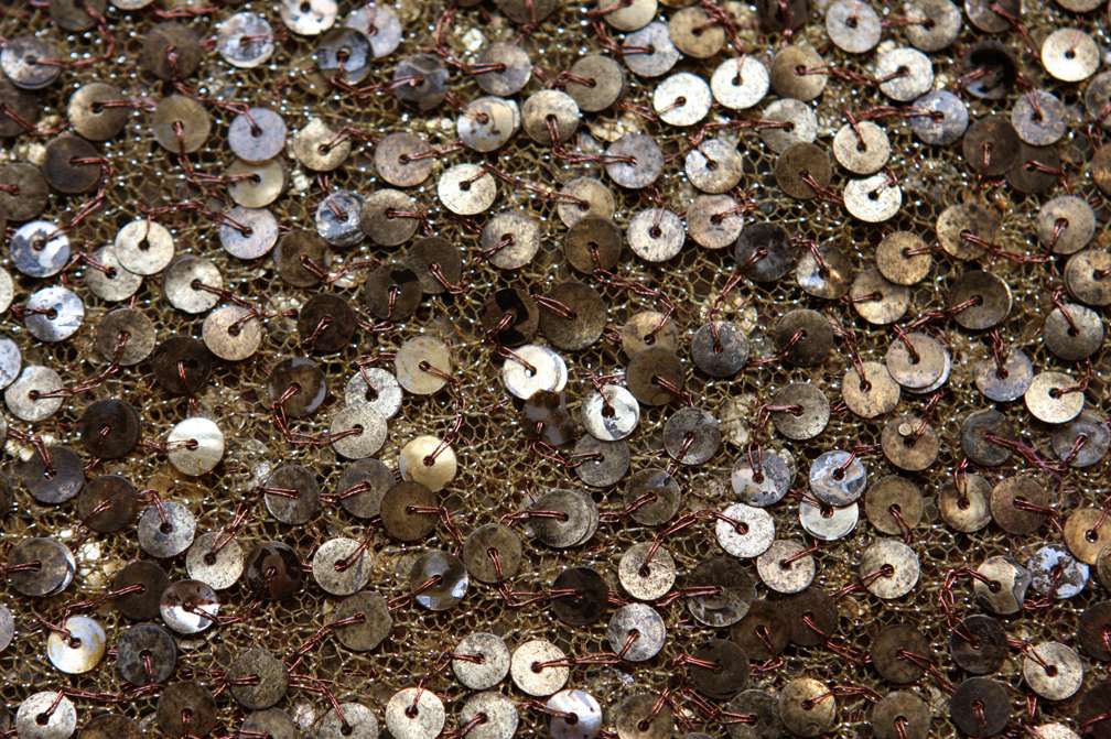 Sequins on Metallic Tulle2