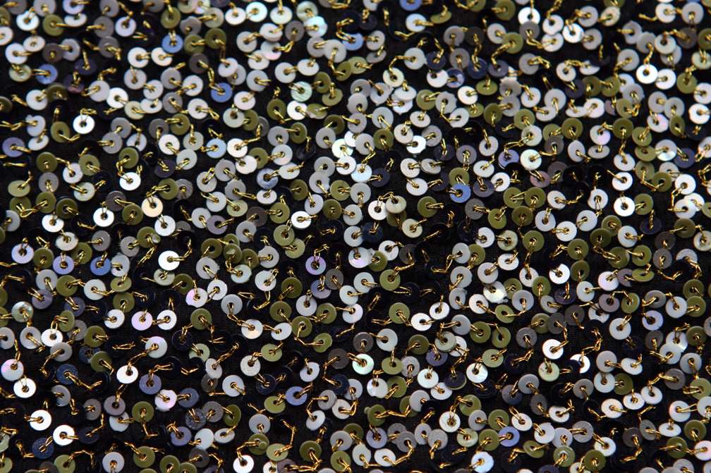 Sequins on Silk Chiffon2