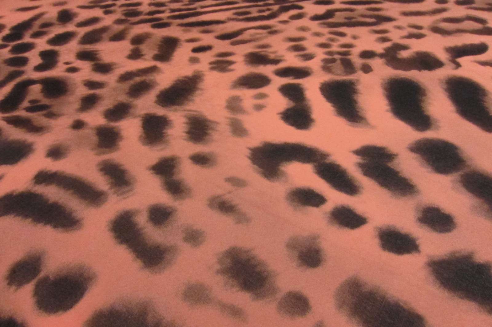 Printed Silk Chiffon2