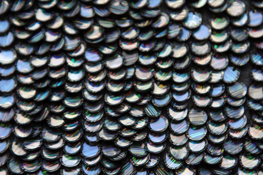 Paillettes on Silk Chiffon3