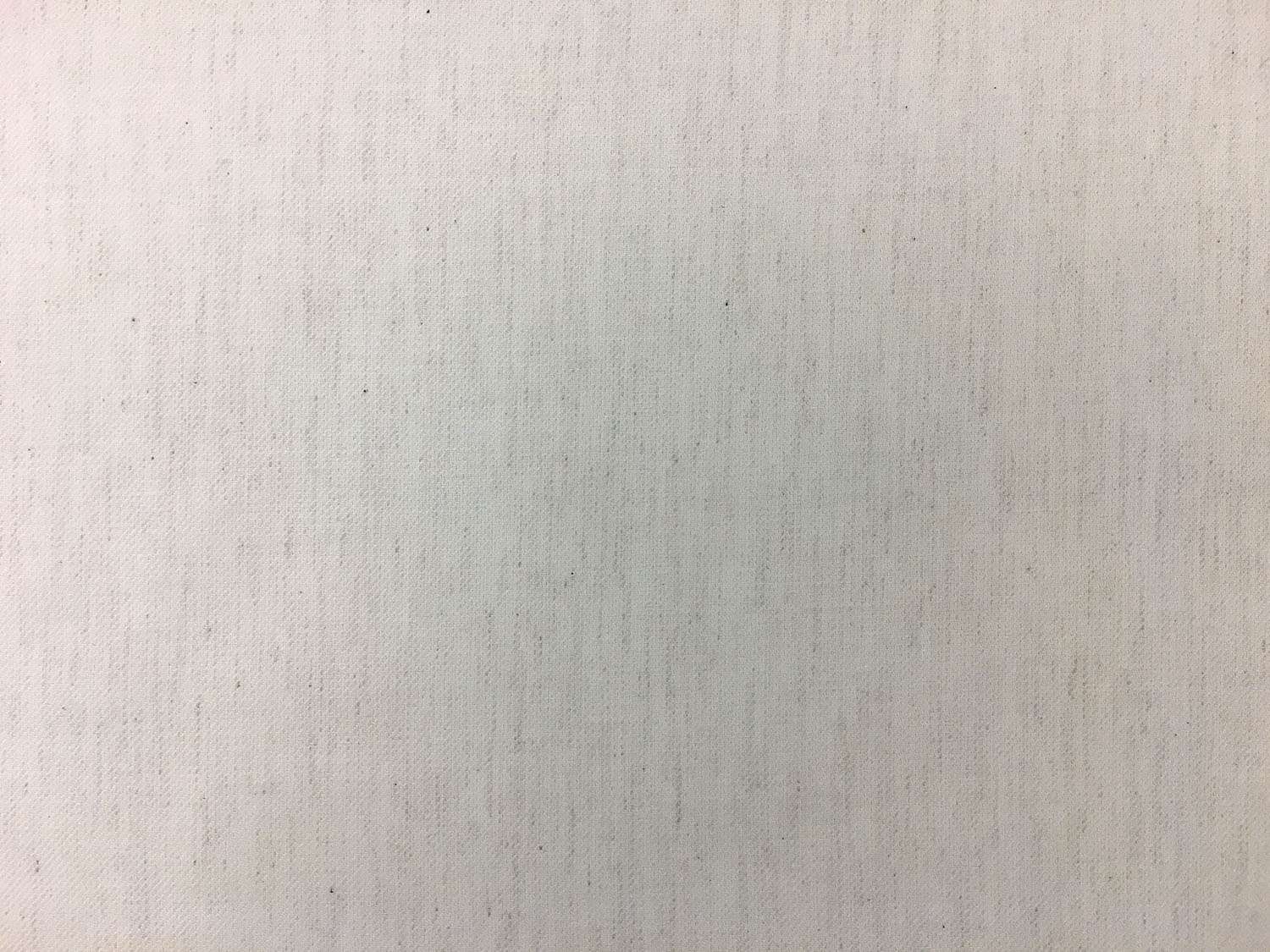 Cotton Flannel Twill in Ivory0