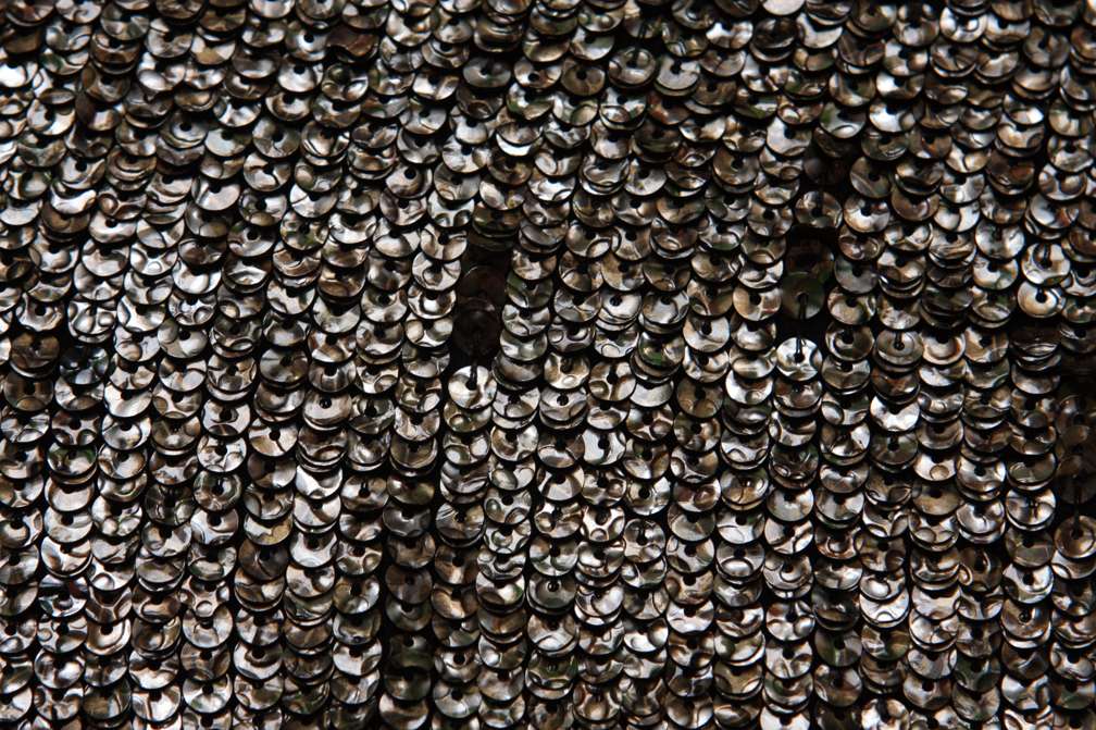 Sequins on Silk Chiffon2