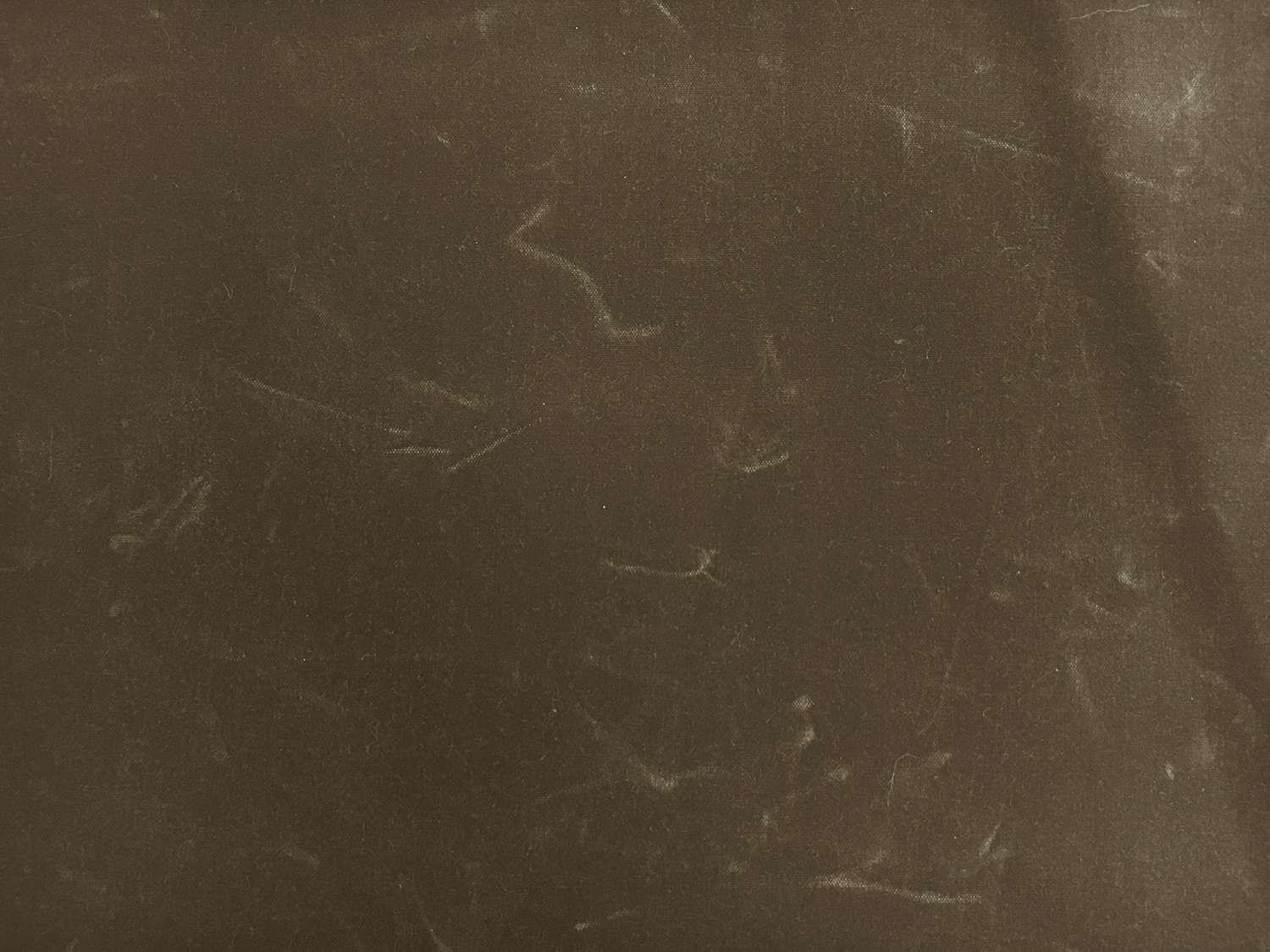 Cotton Wax Cloth in Olive1