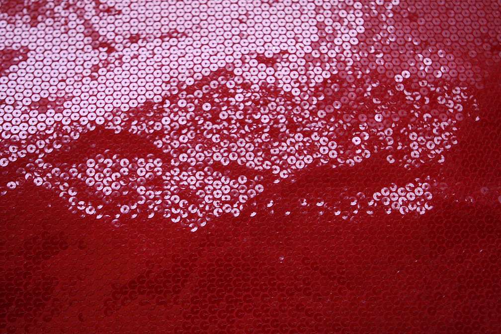 Sequins on Chiffon0