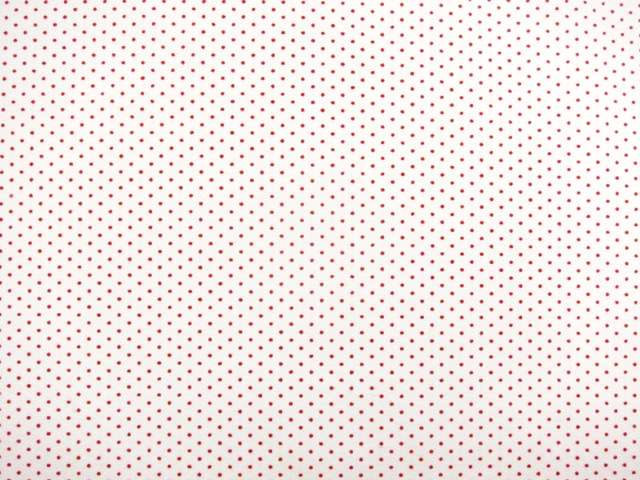 Japanese Cotton Broadcloth Print0