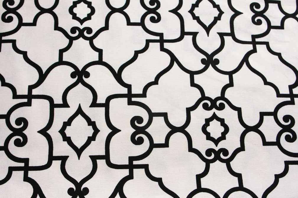 Printed Cotton Canvas0