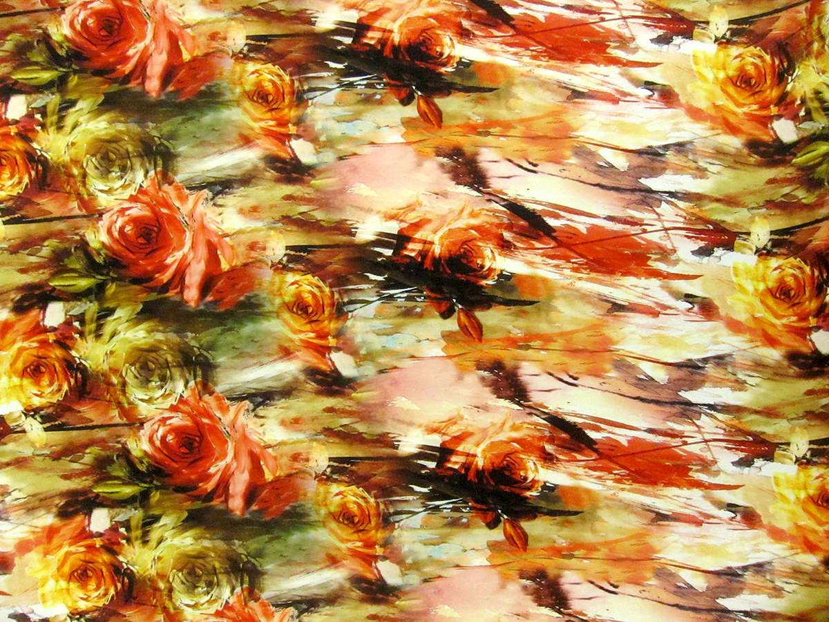 Printed Silk Charmeuse0