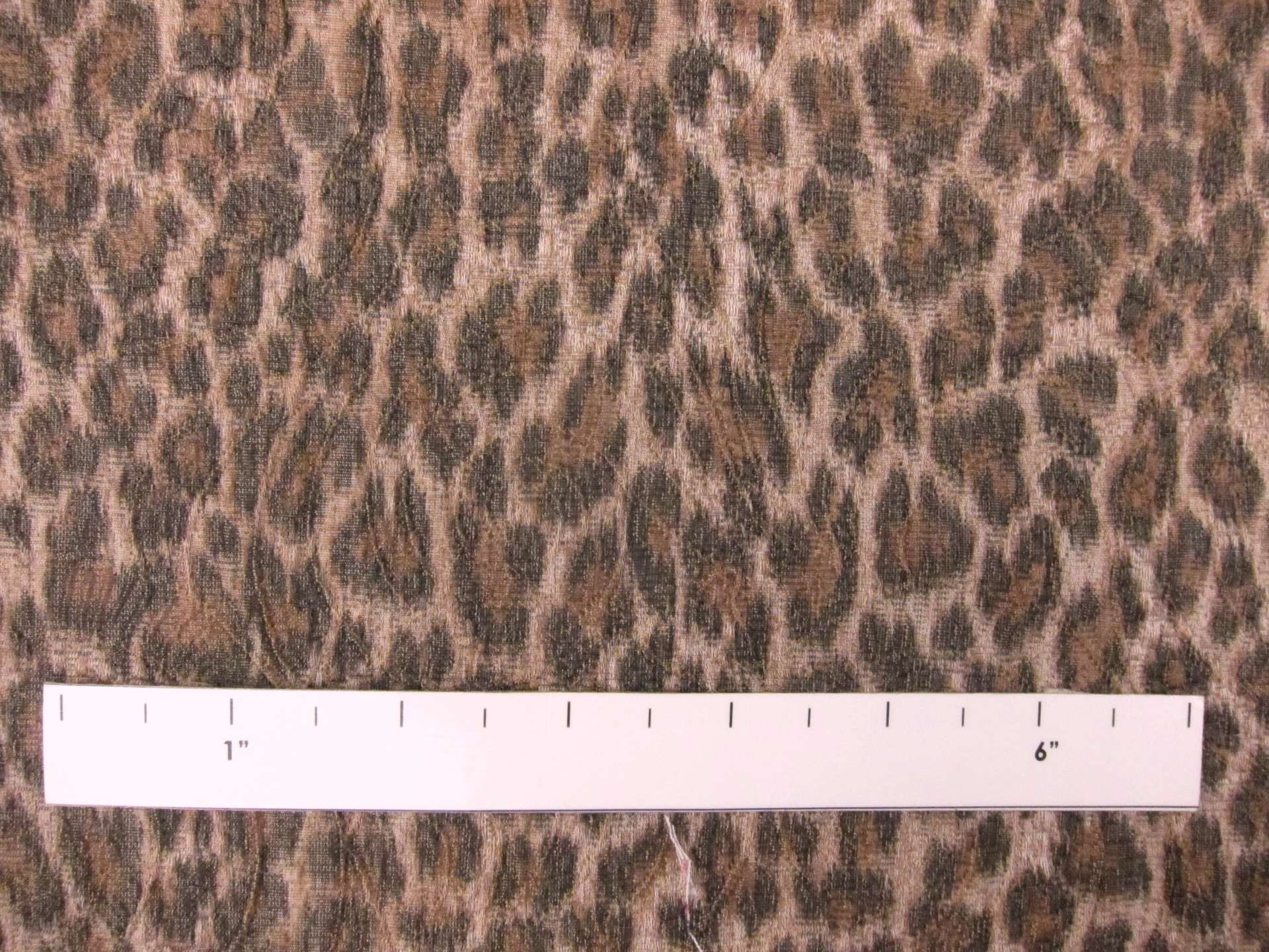 Brocade1