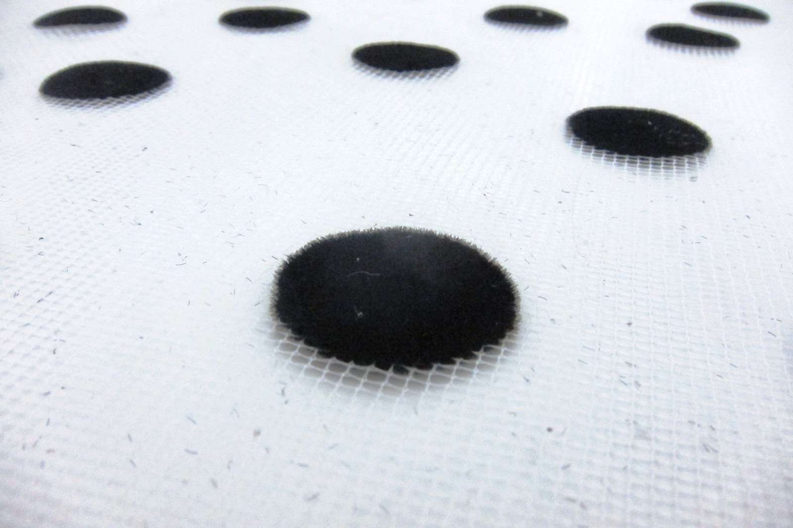 Flocking on Tulle2