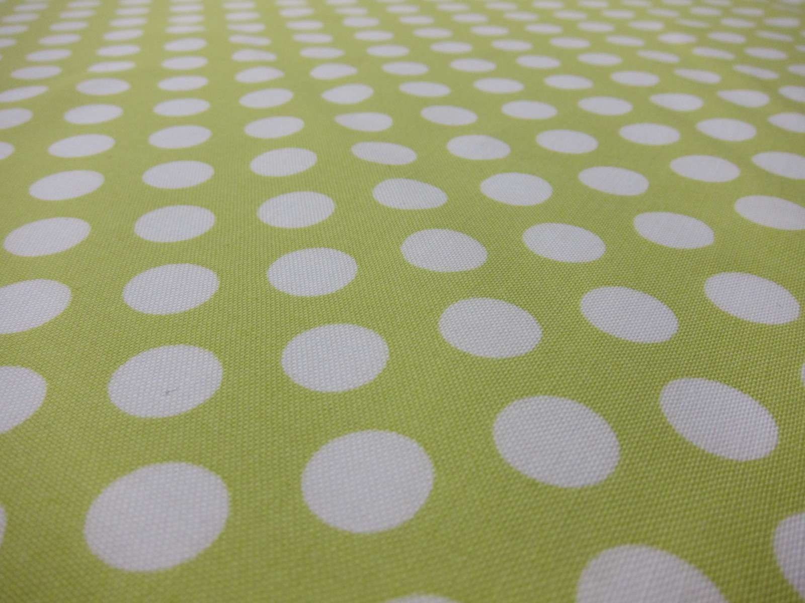 Cotton Broadcloth Print2