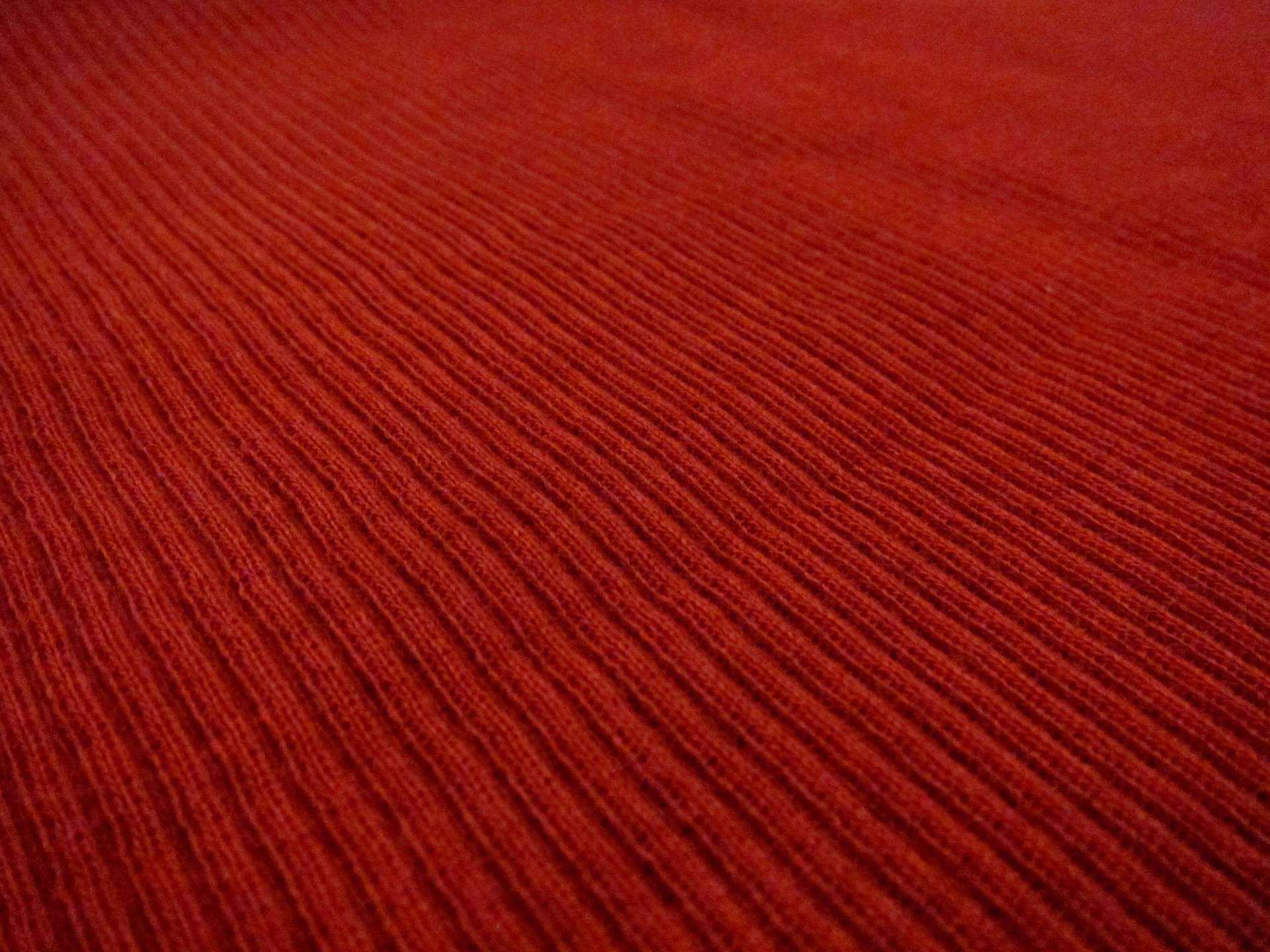 Virgin Wool Rib Knit2