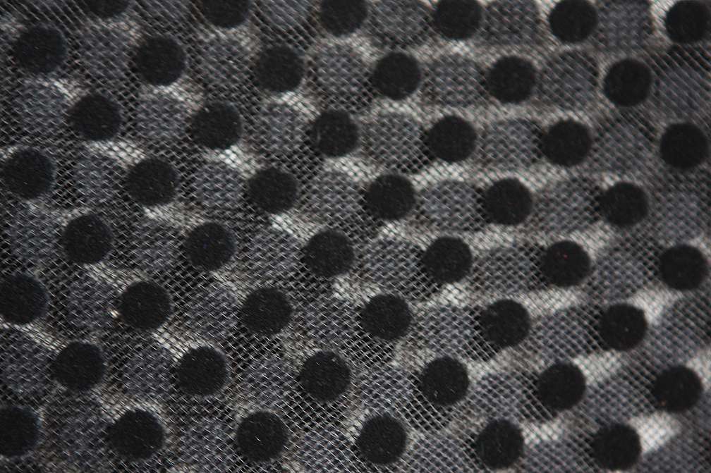 Flocking on Tulle2